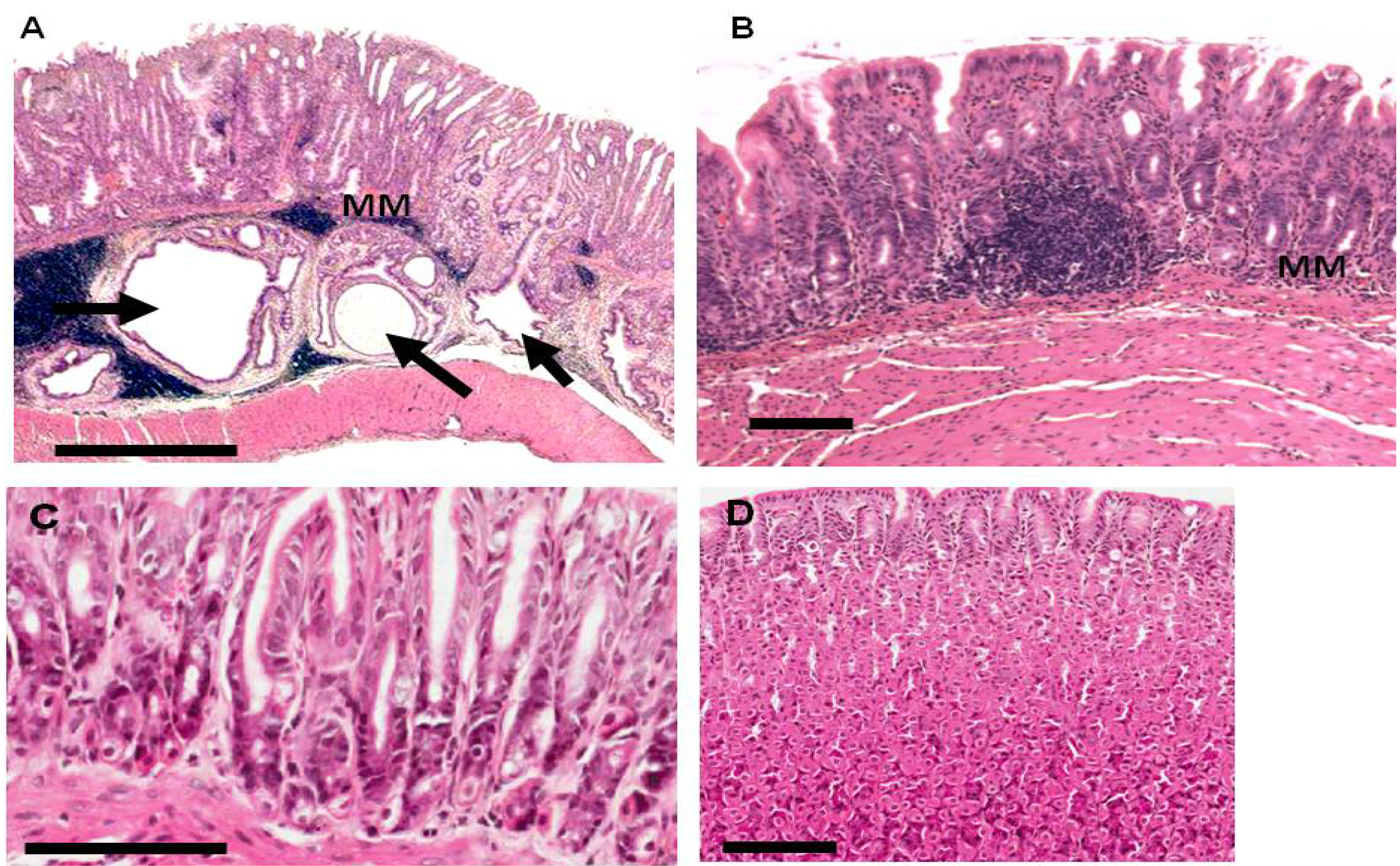 Pathogens 02 00571 g002