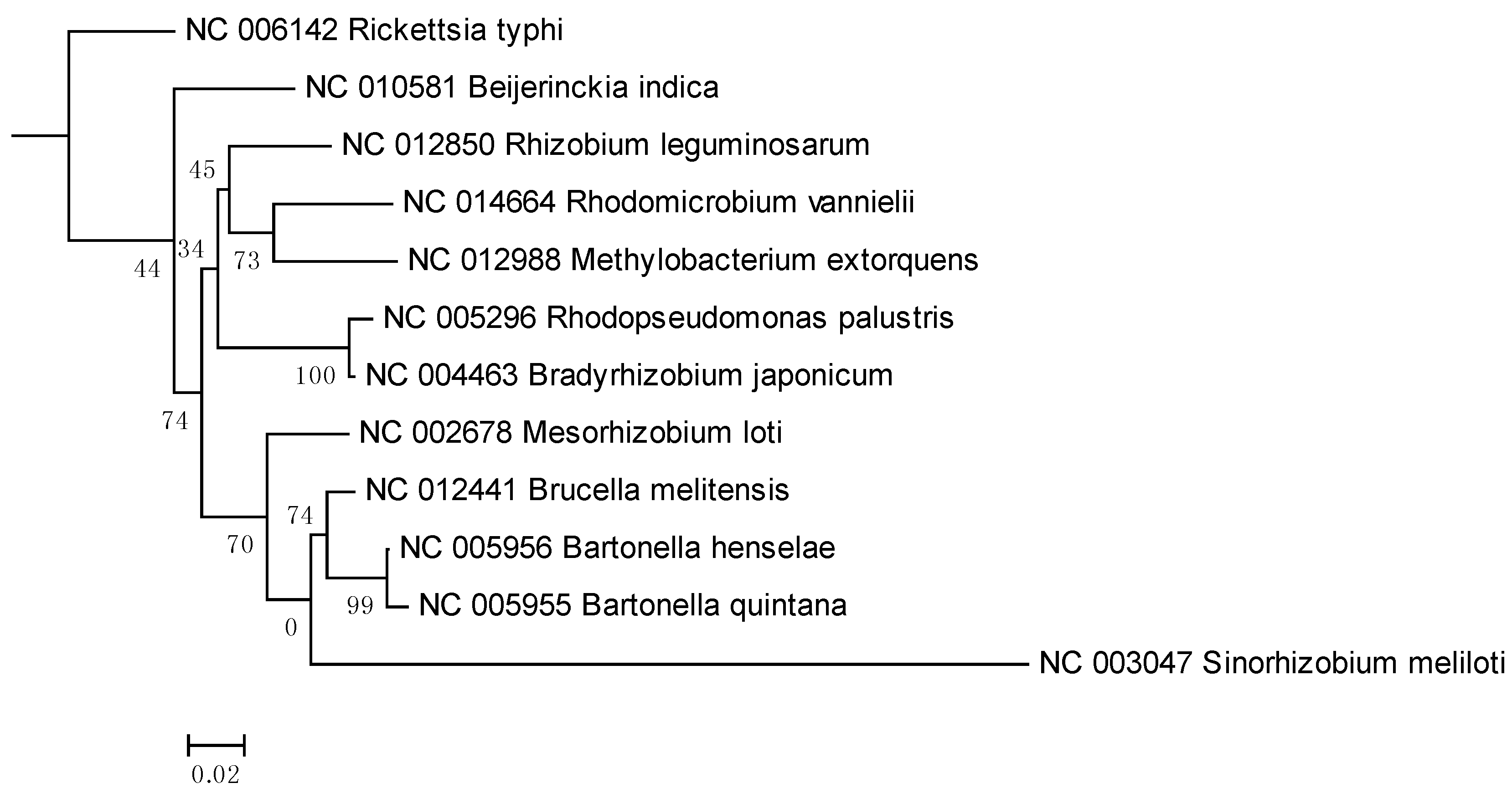 Pathogens 02 00627 g002