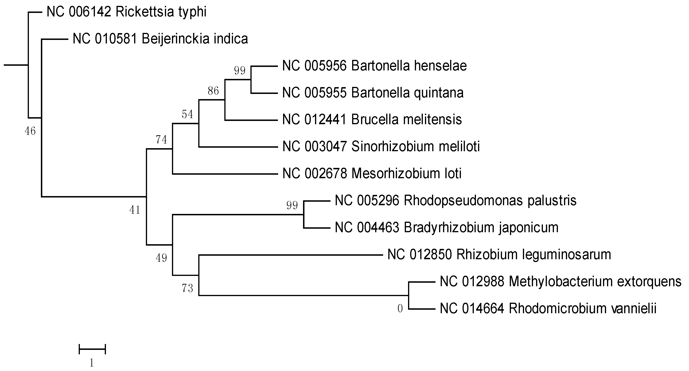 Pathogens 02 00627 g003