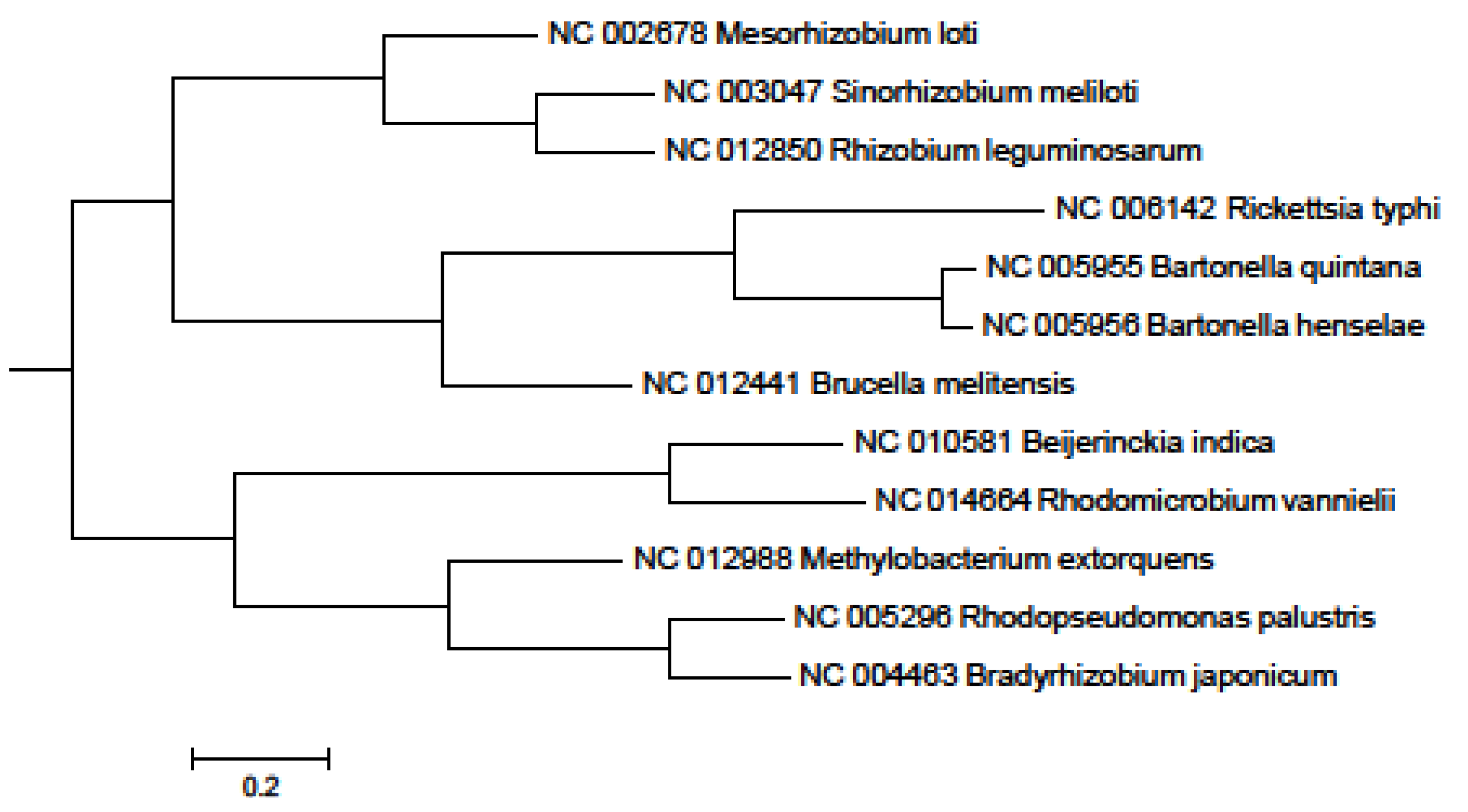 Pathogens 02 00627 g006