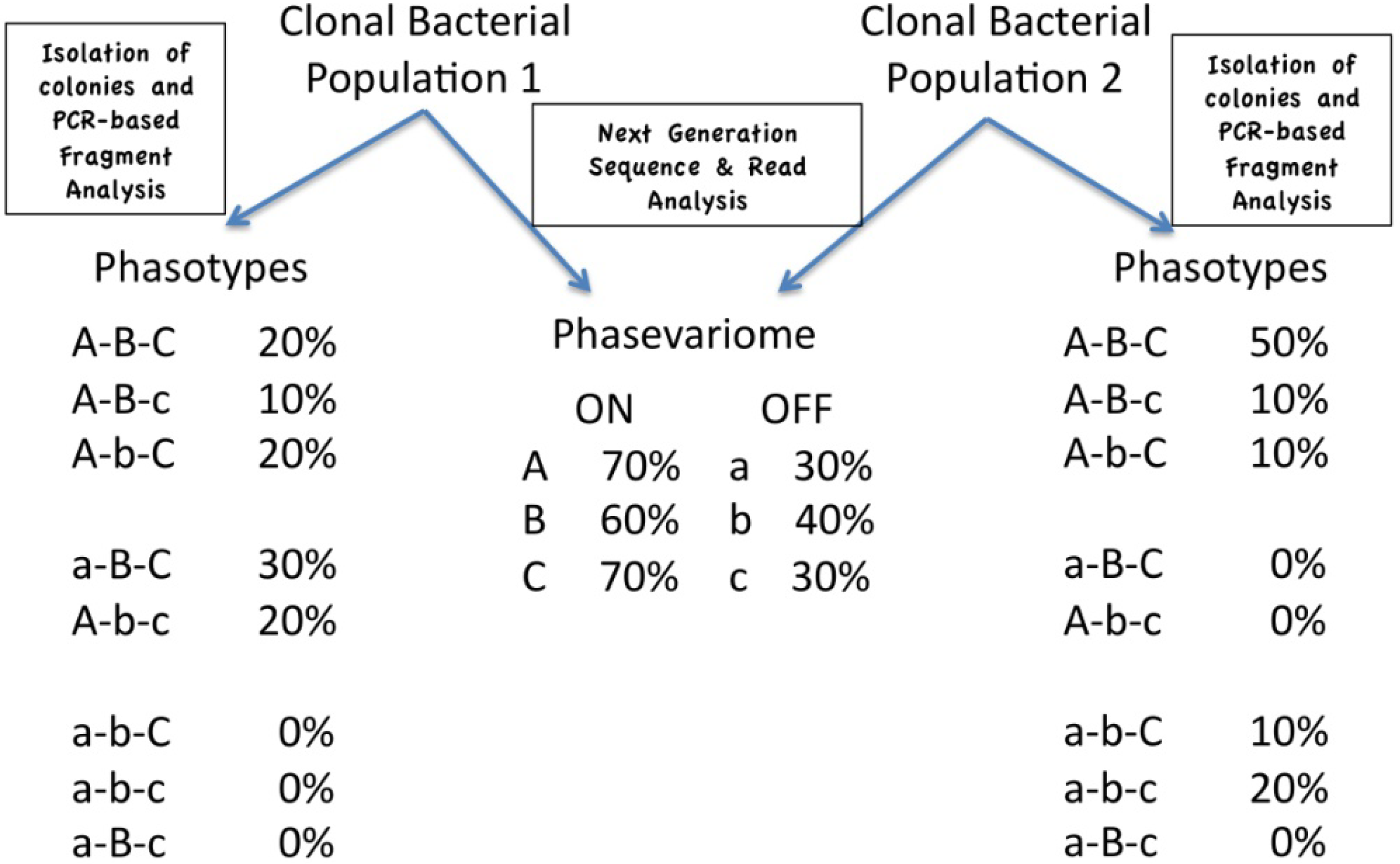 Pathogens 03 00164 g001 1024