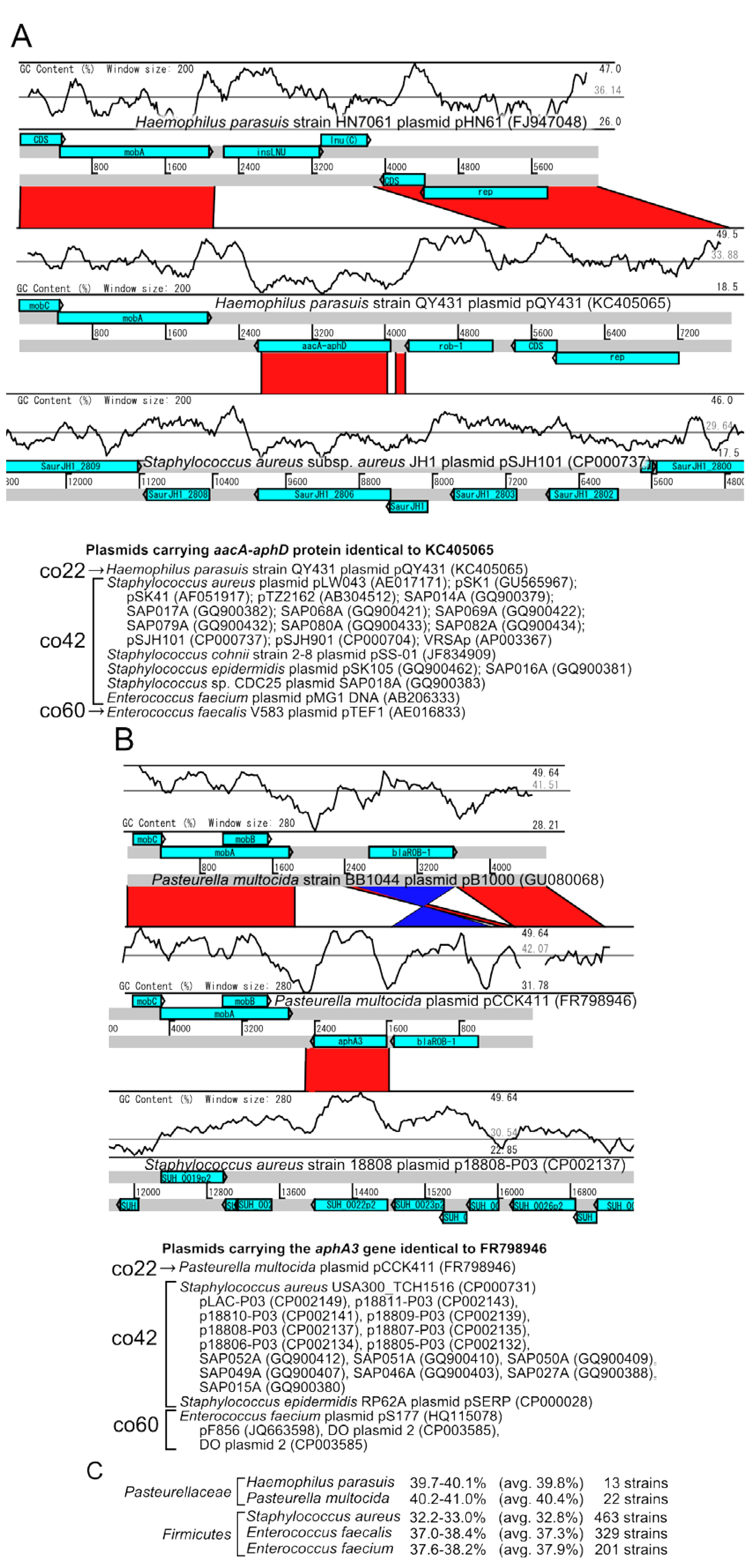 Pathogens 03 00356 g007