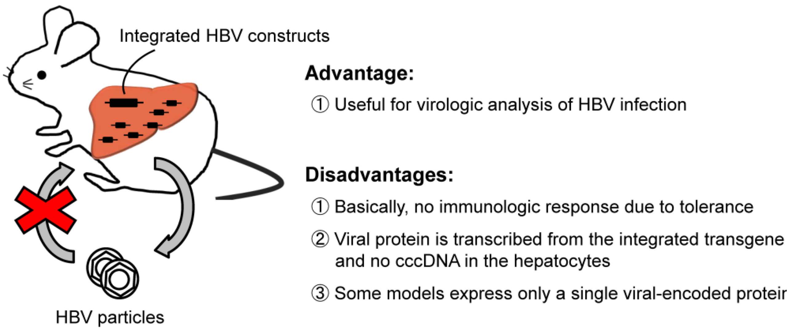 Chainsaw 9mice текст. Hepatitis b virus Protein in Banana advantages.