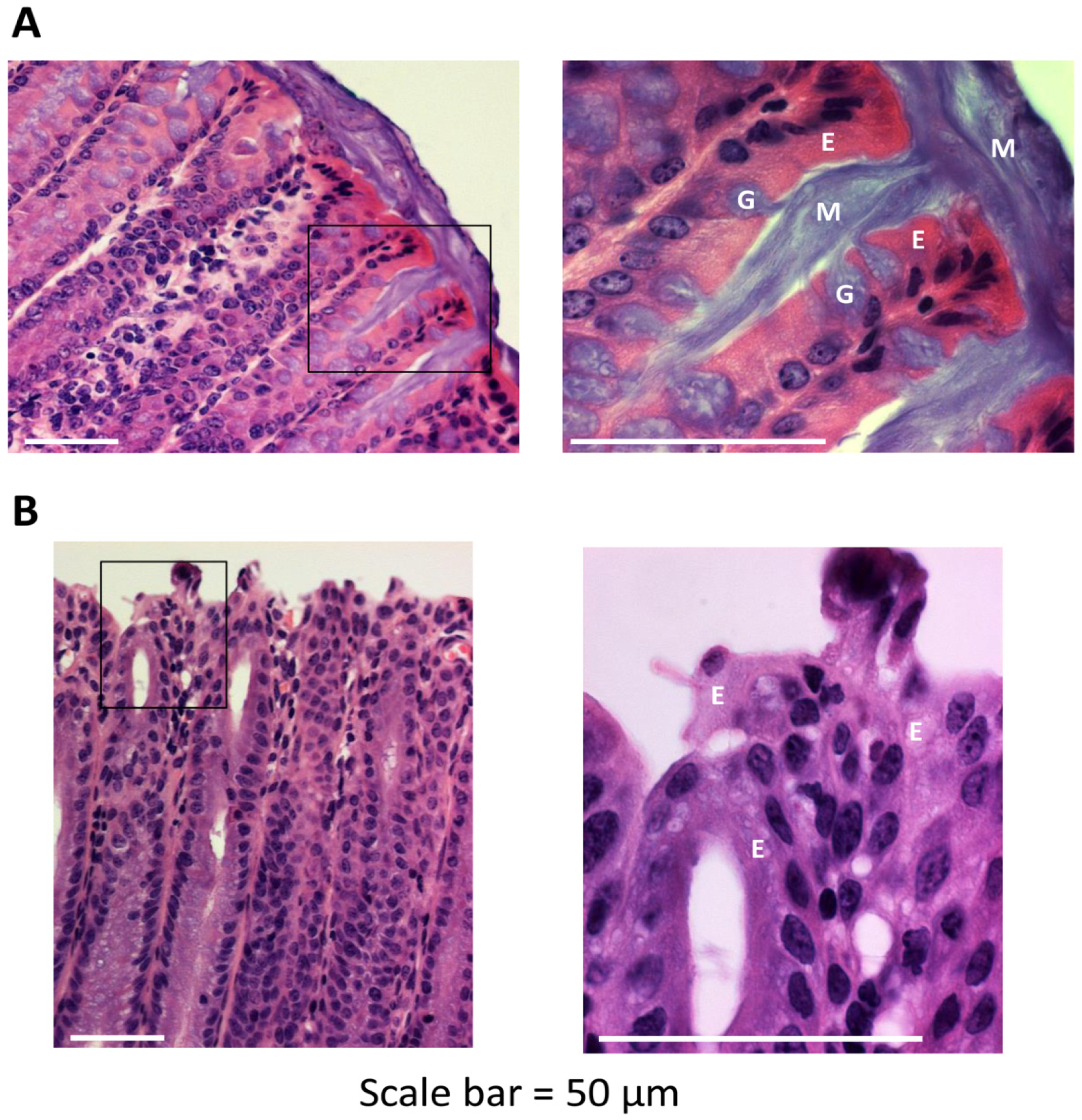 Pathogens 03 00390 g001
