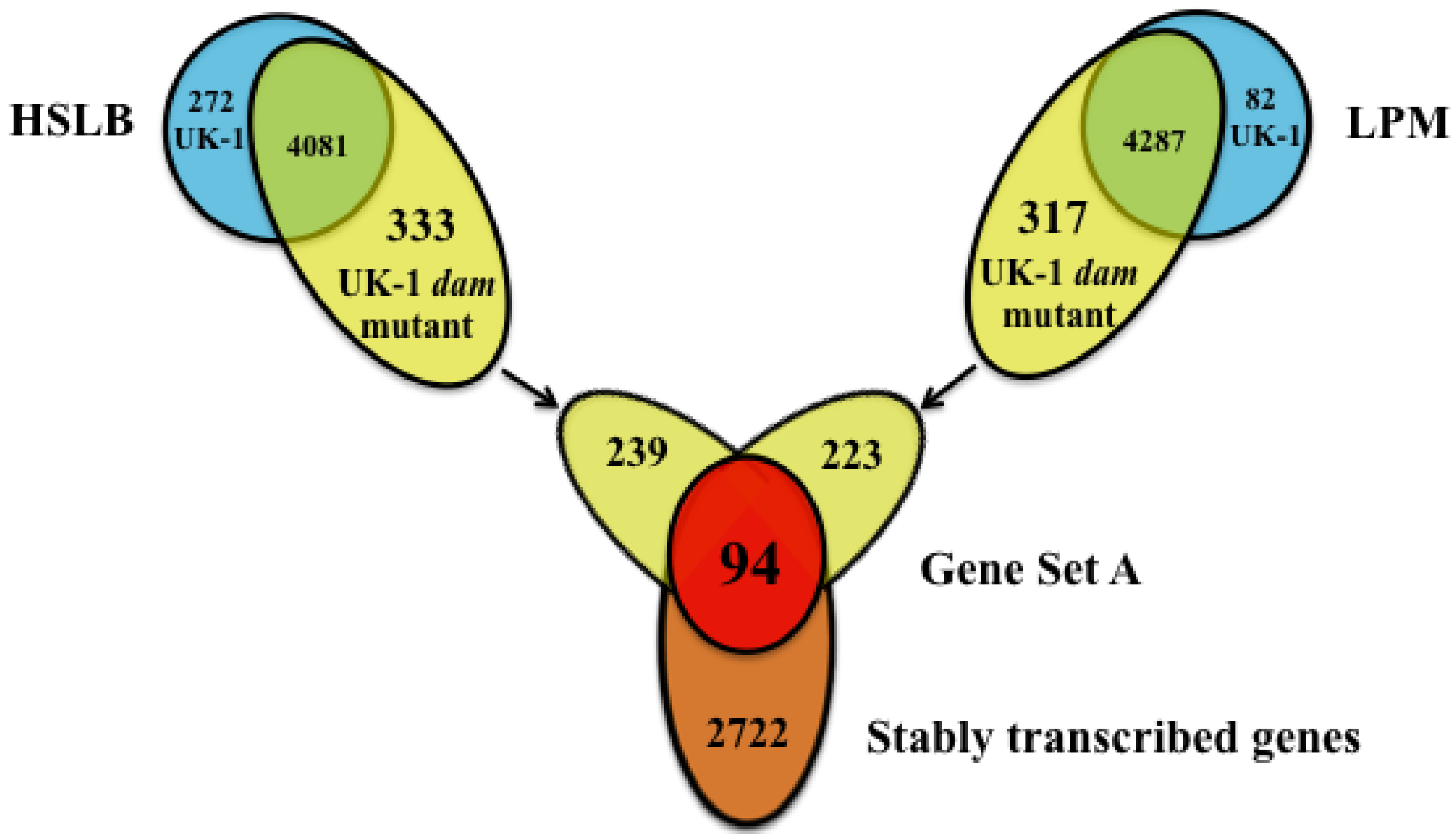 Pathogens 03 00417 g003 1024