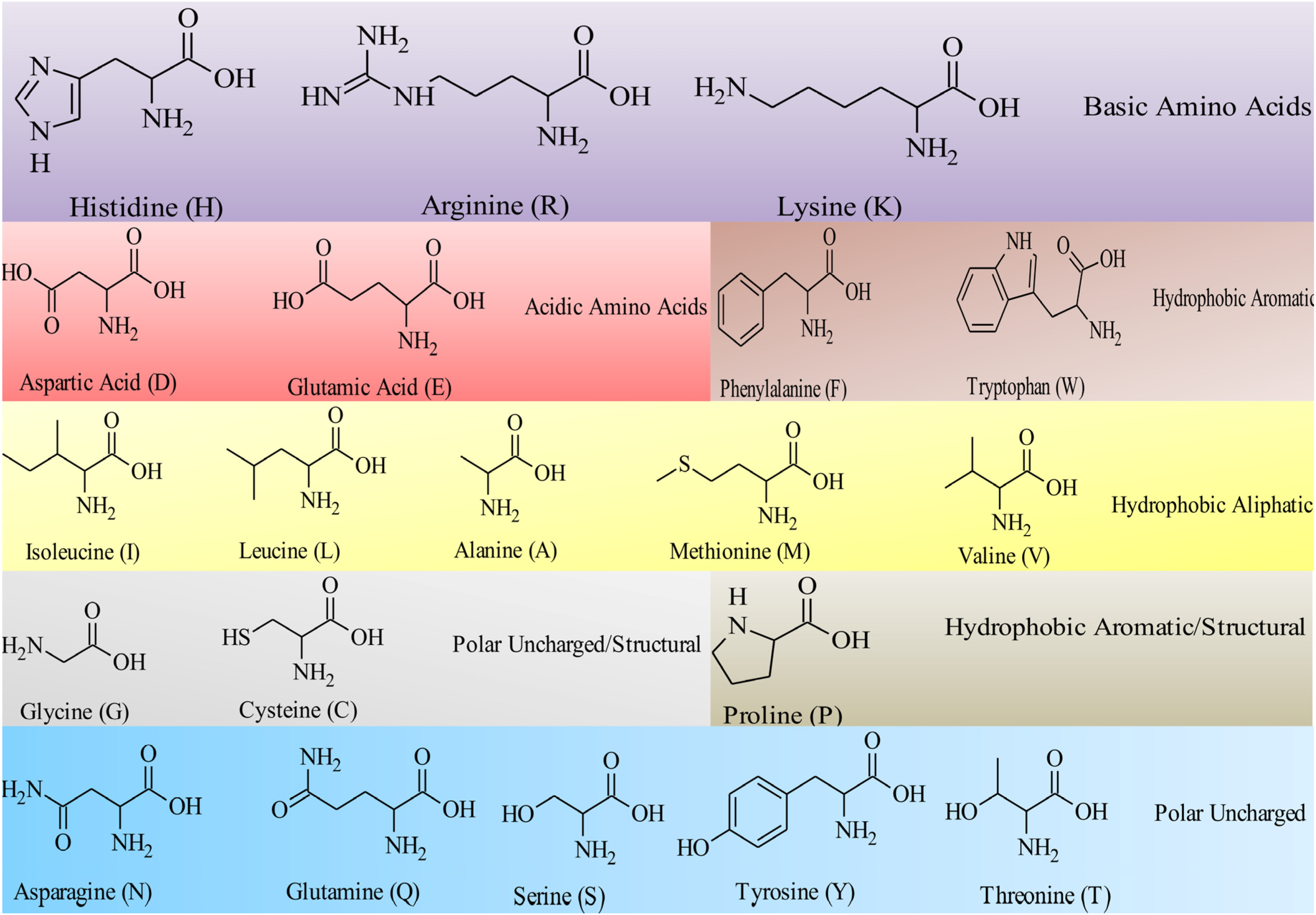 Synthetic peptides that form nanostructured micelles have potent antibiotic  and antibiofilm activity against polymicrobial infections