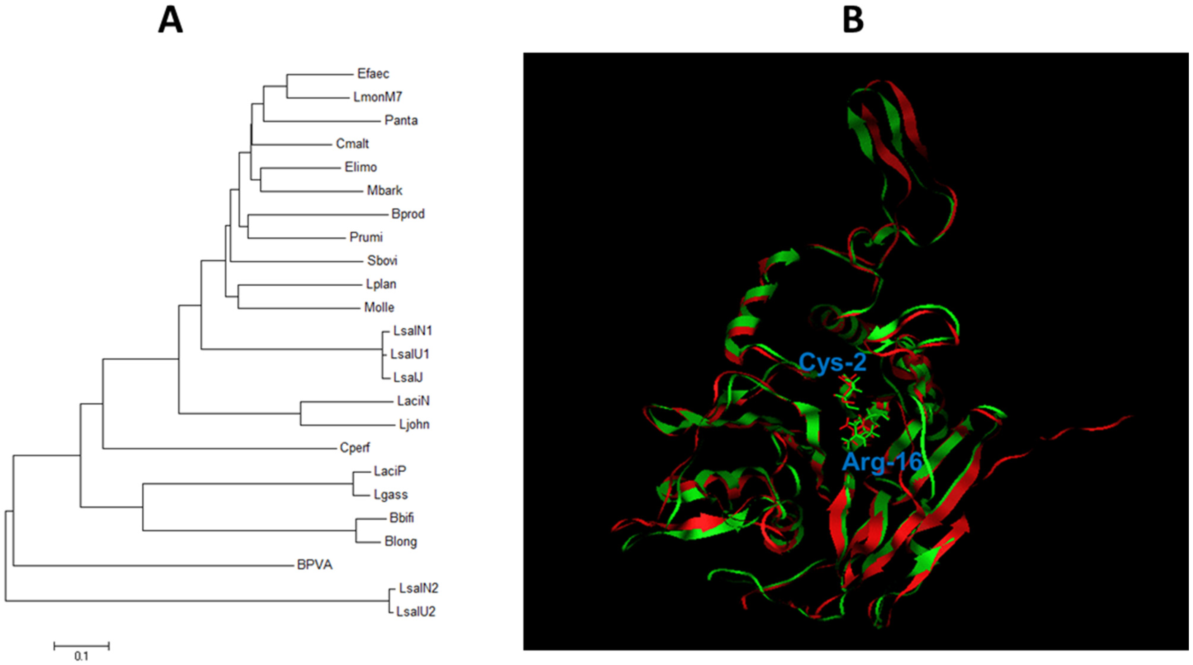Pathogens 03 00947 g001 1024