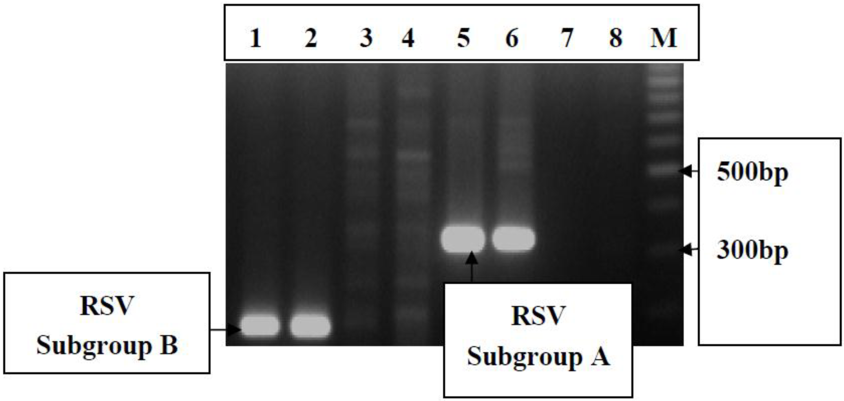 Pathogens 04 00022 g004 1024