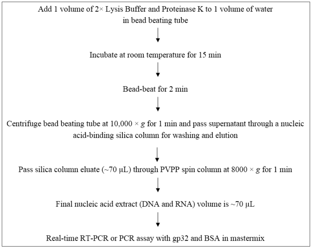 Pcr Procedure Flow Chart