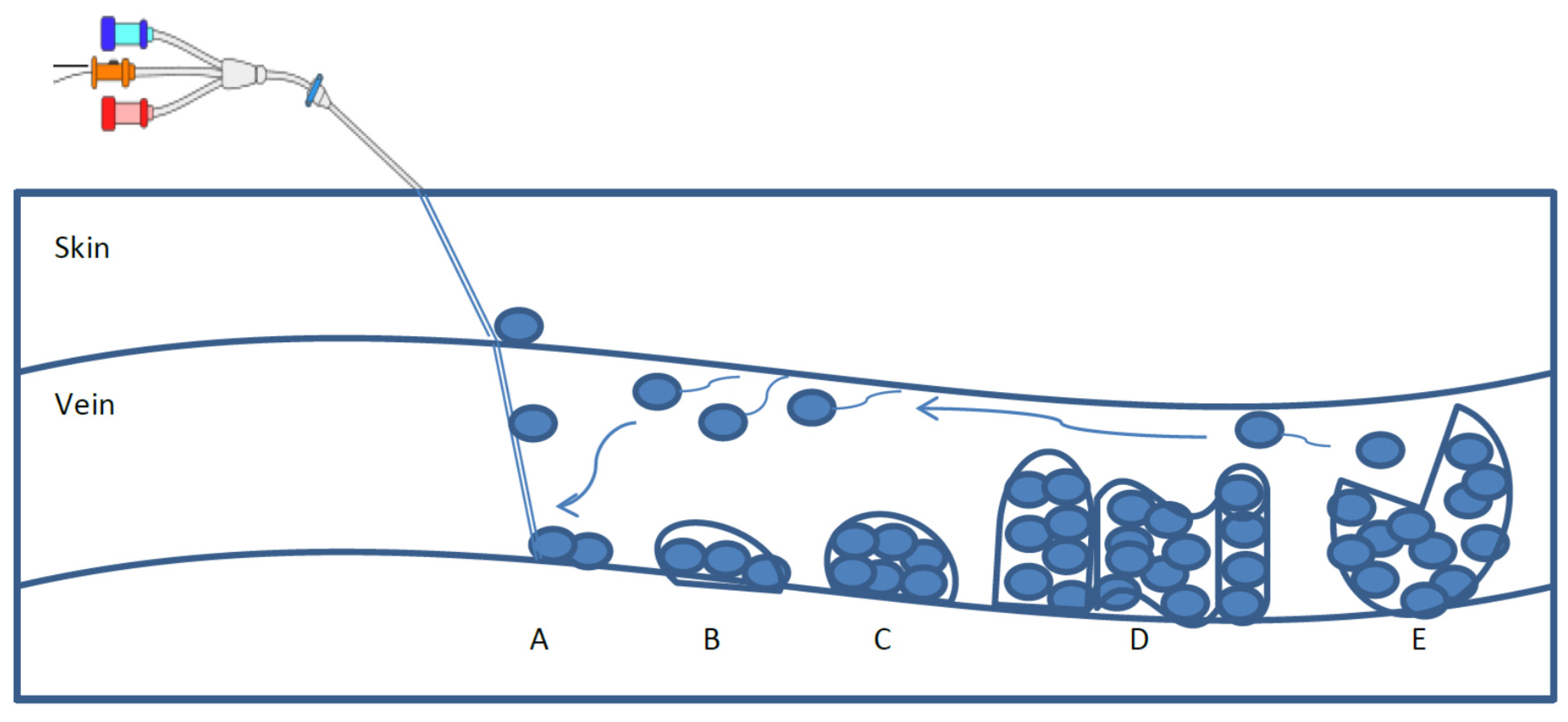 Pathogens 04 00457 g001 1024