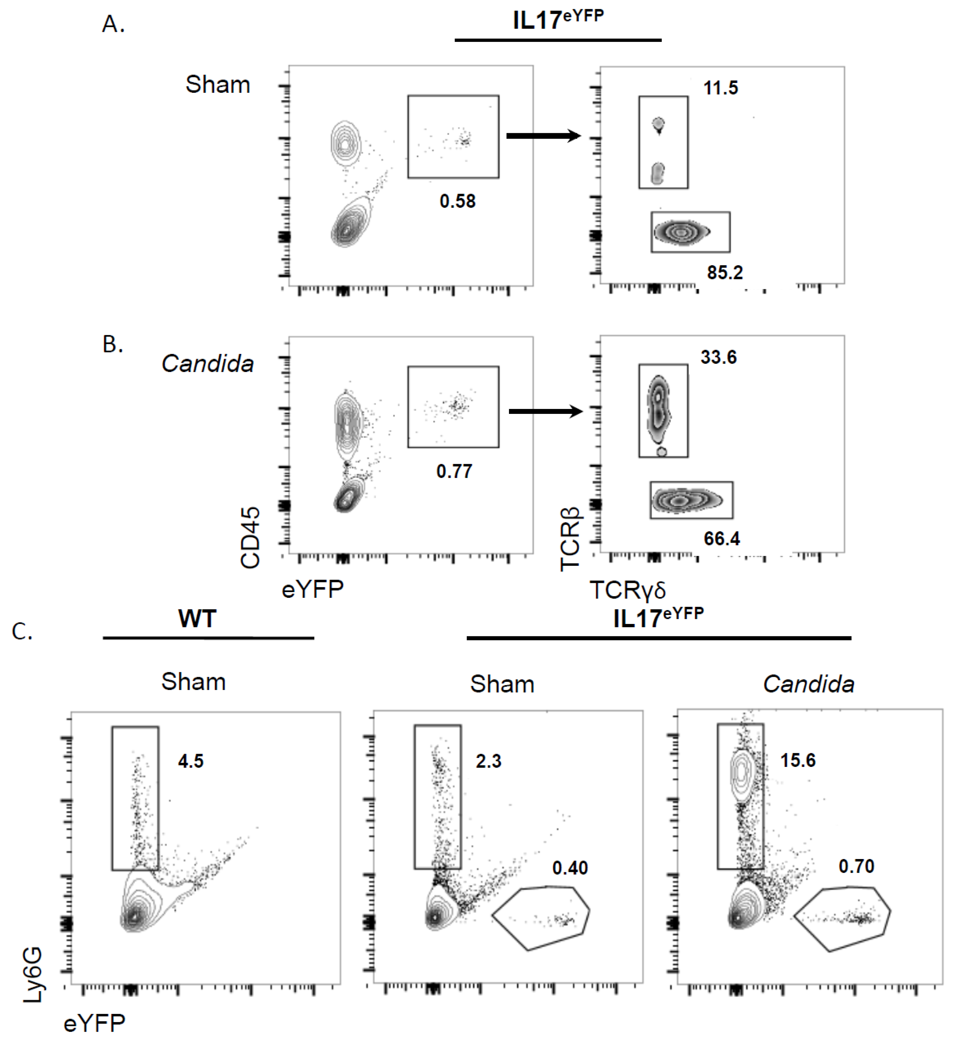 Pathogens 04 00559 g001