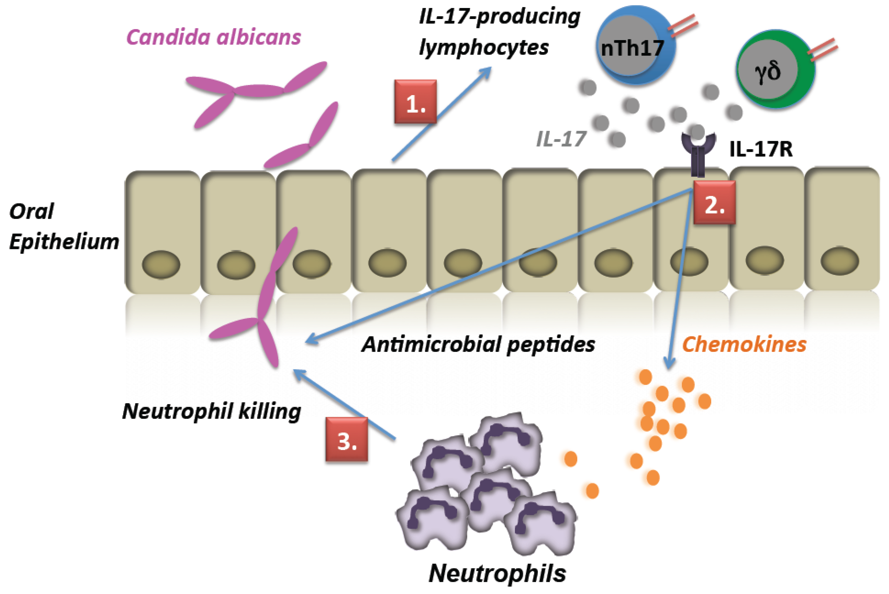 Pathogens 04 00559 g003