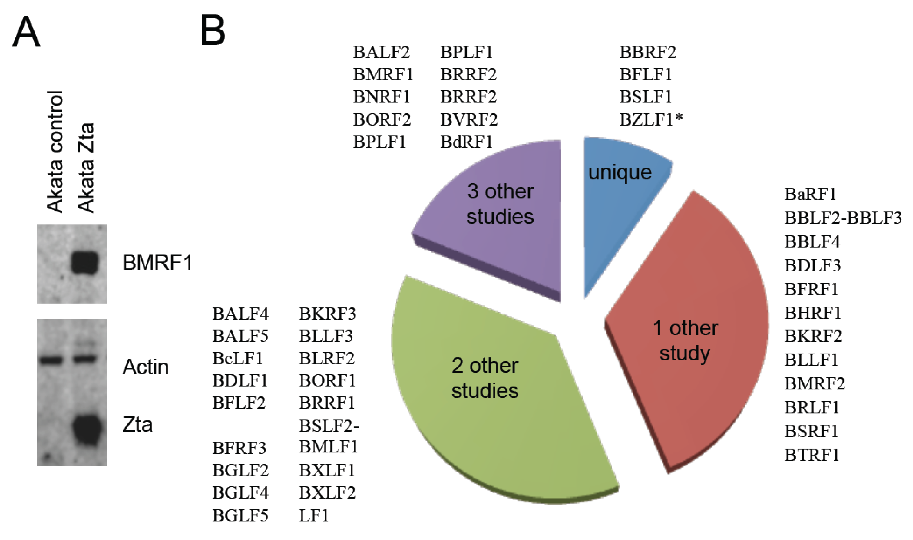 Pathogens 04 00739 g003