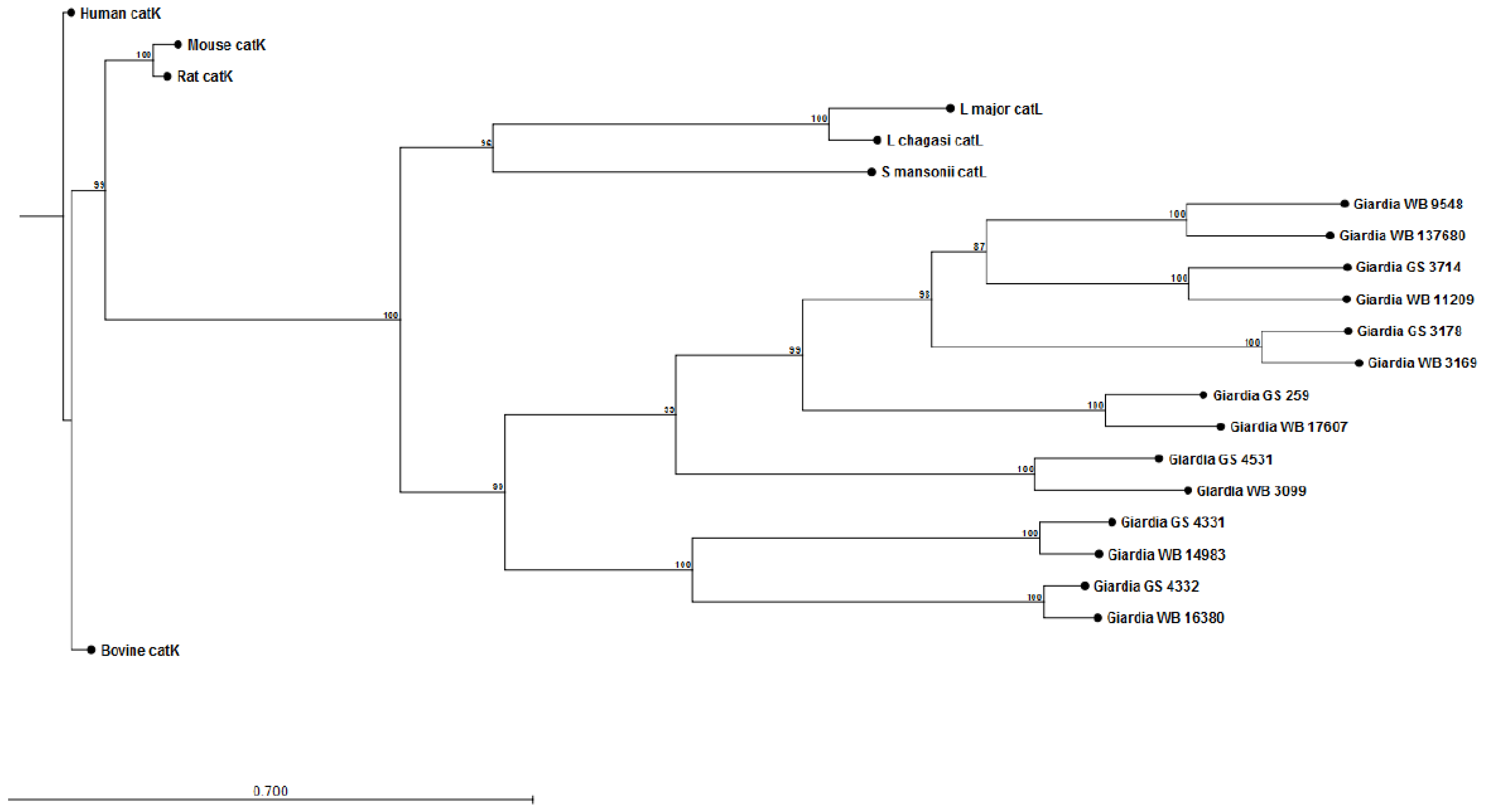Pathogens 04 00764 g002