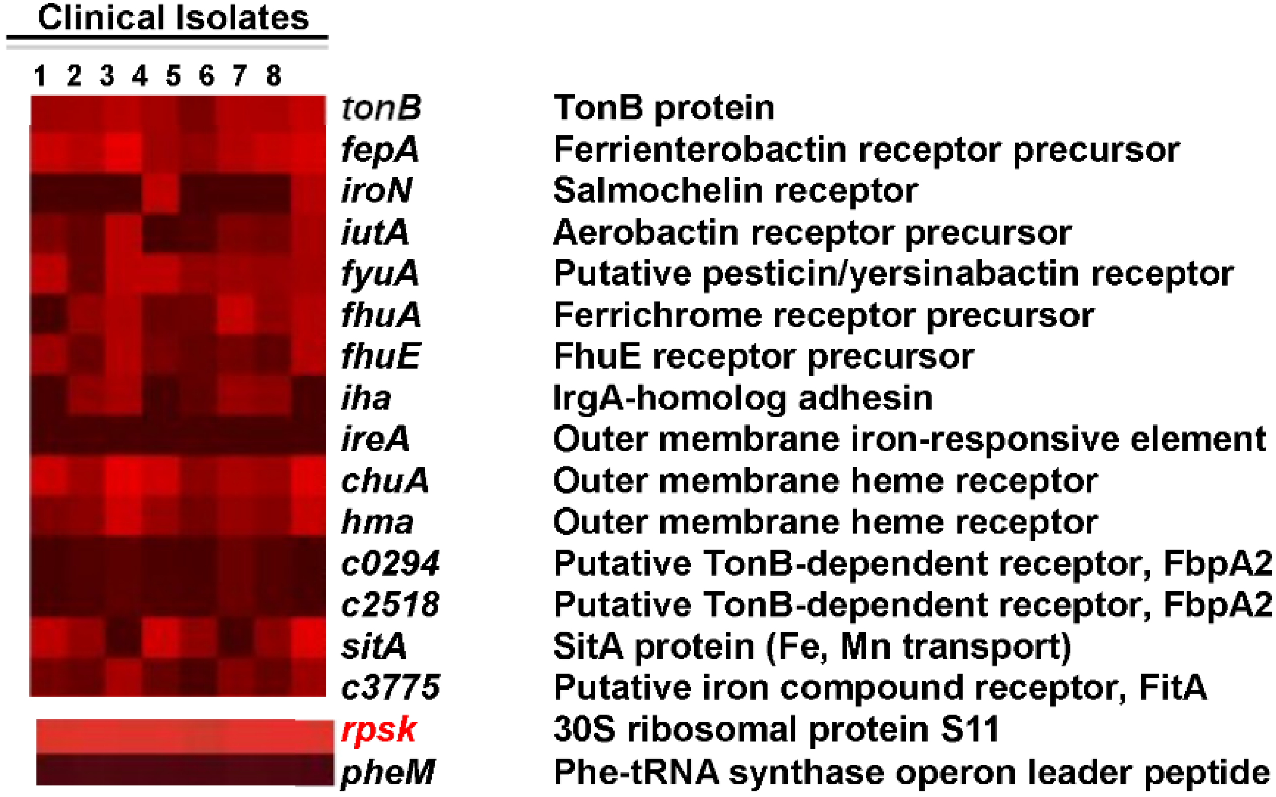 Pathogens 05 00001 g001