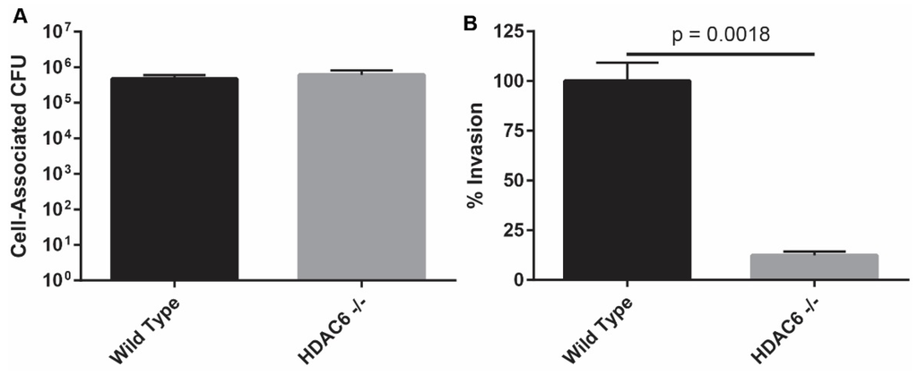 Pathogens 05 00020 g001 1024