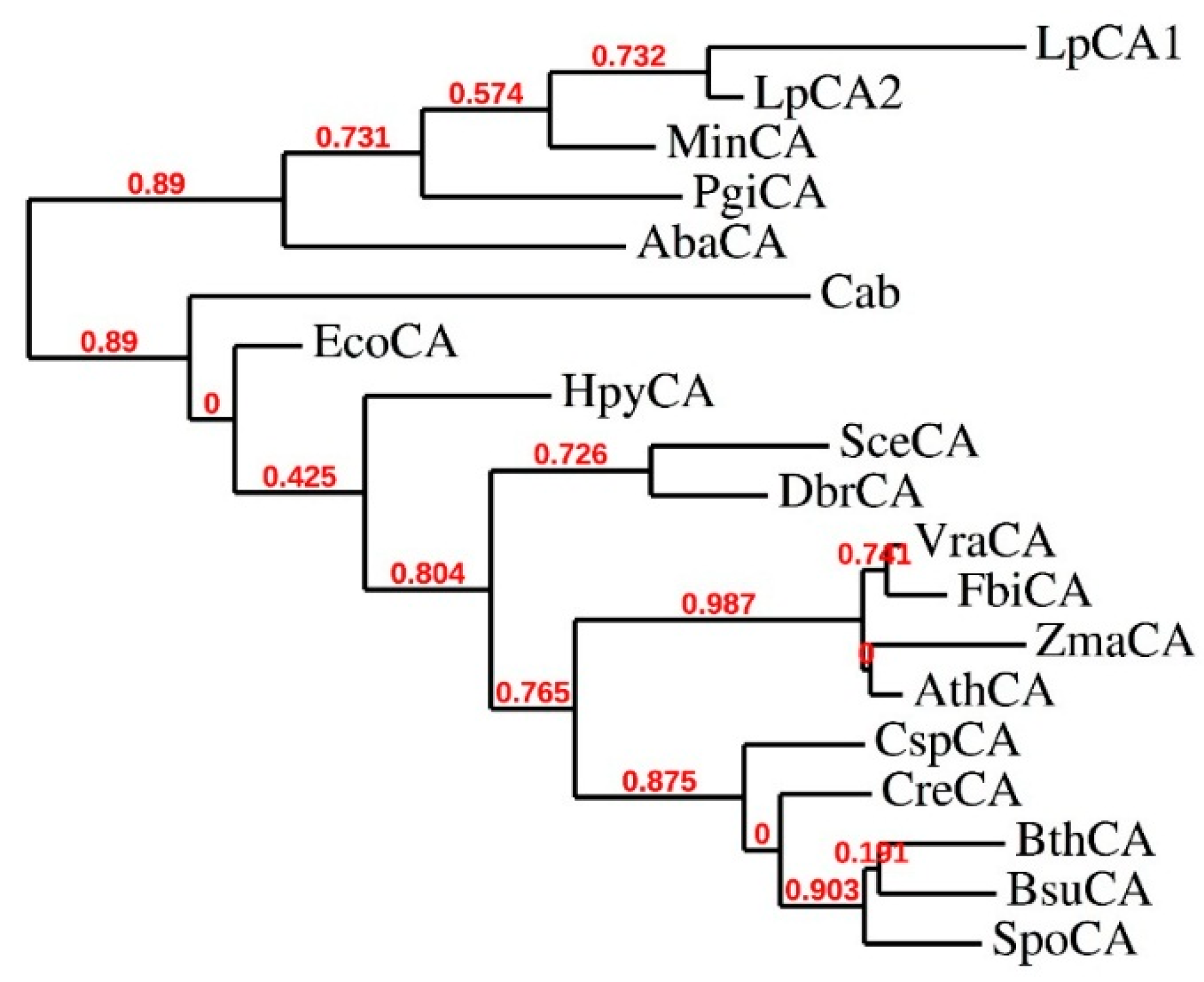 Pathogens 05 00044 g002