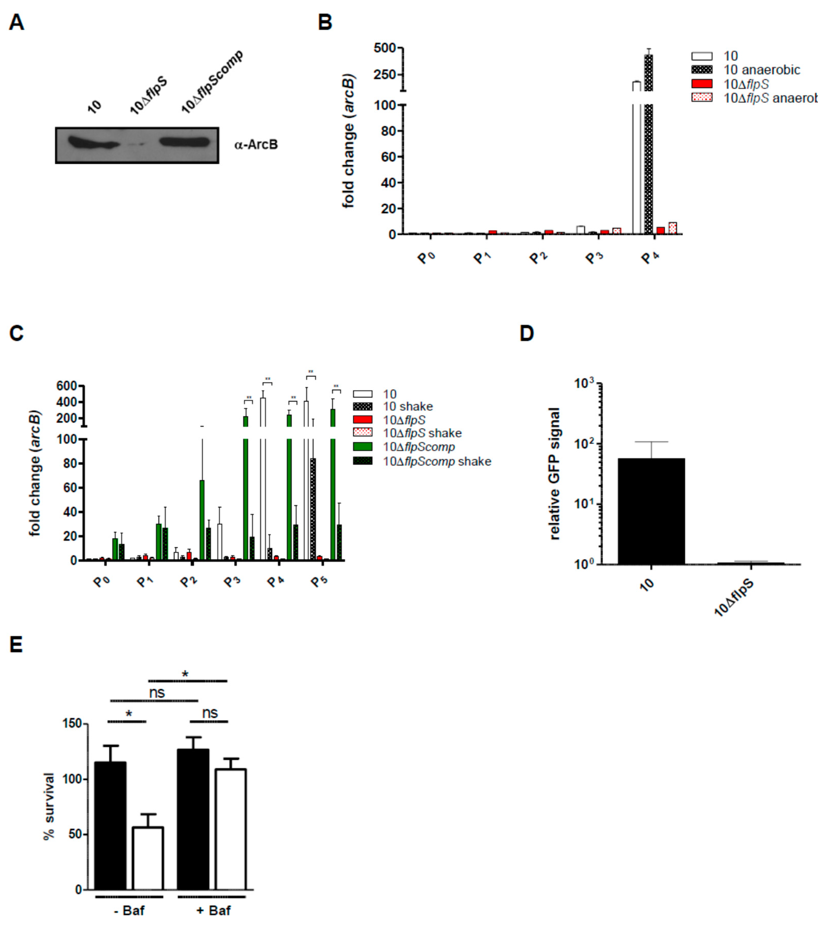 Pathogens 05 00051 g004 1024