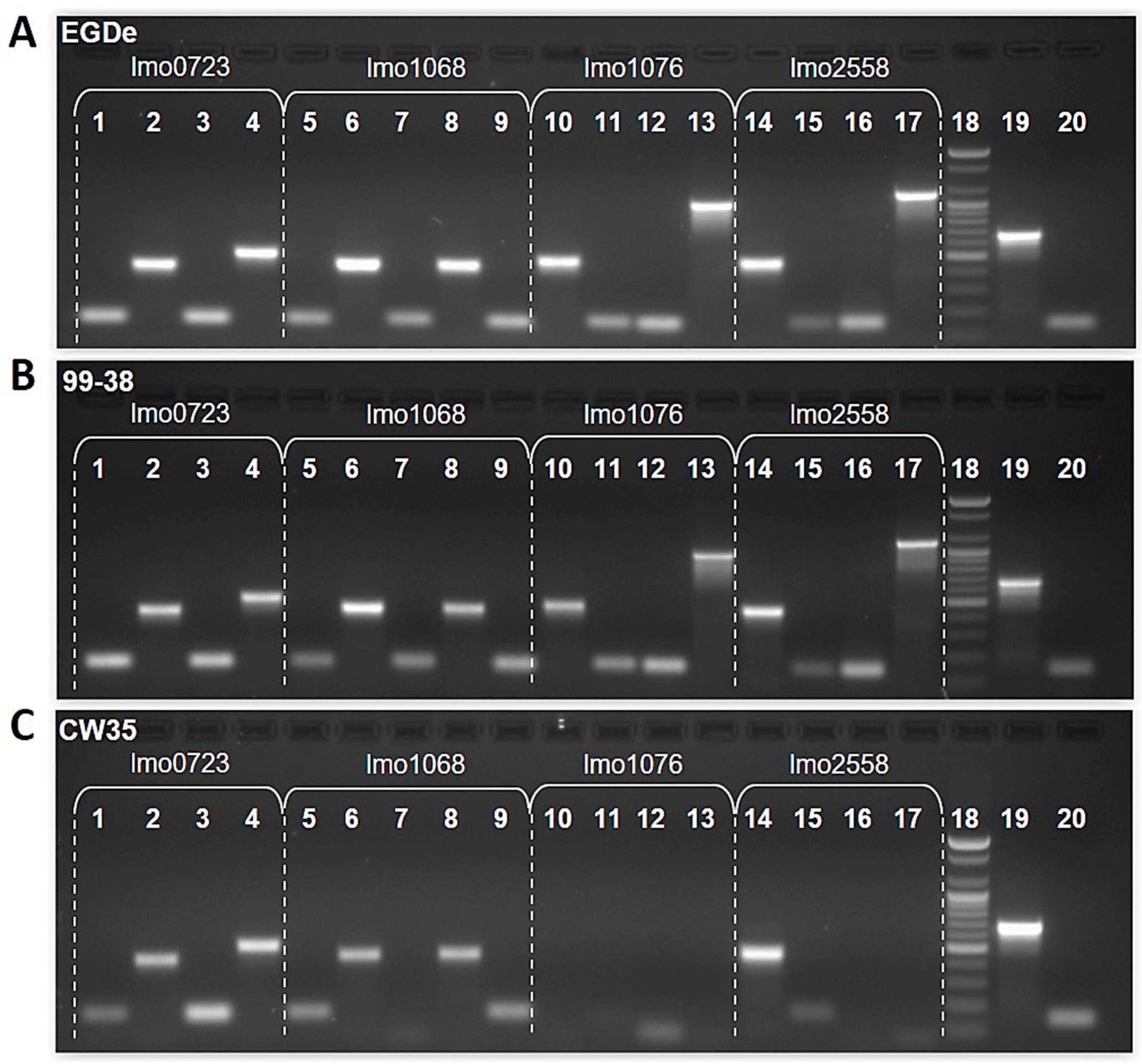 Pathogens 05 00060 g005 550
