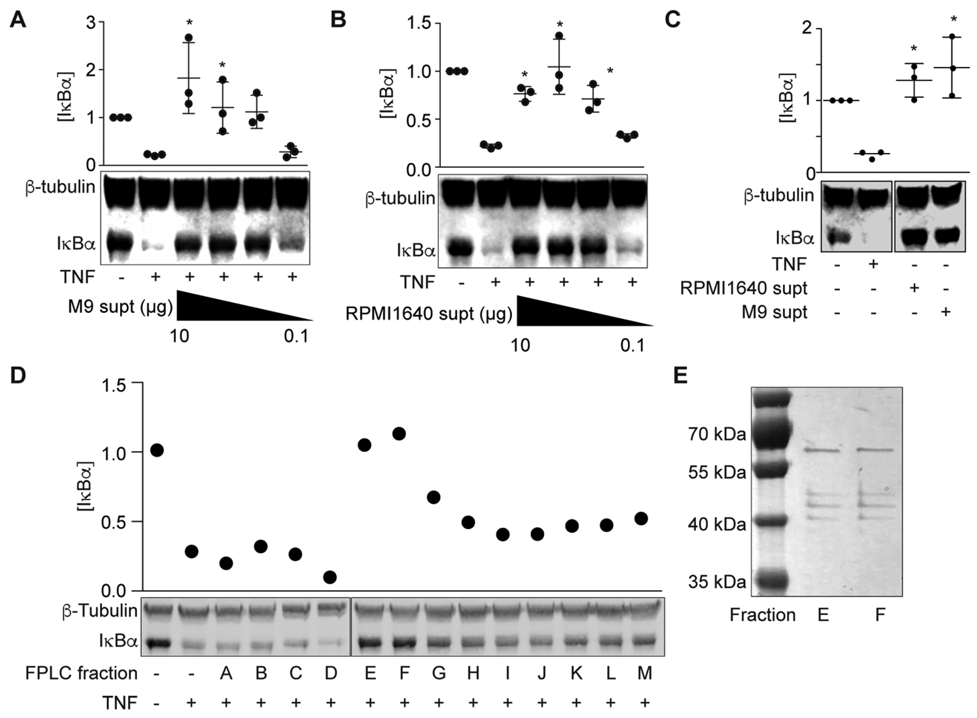 Pathogens 06 00018 g001