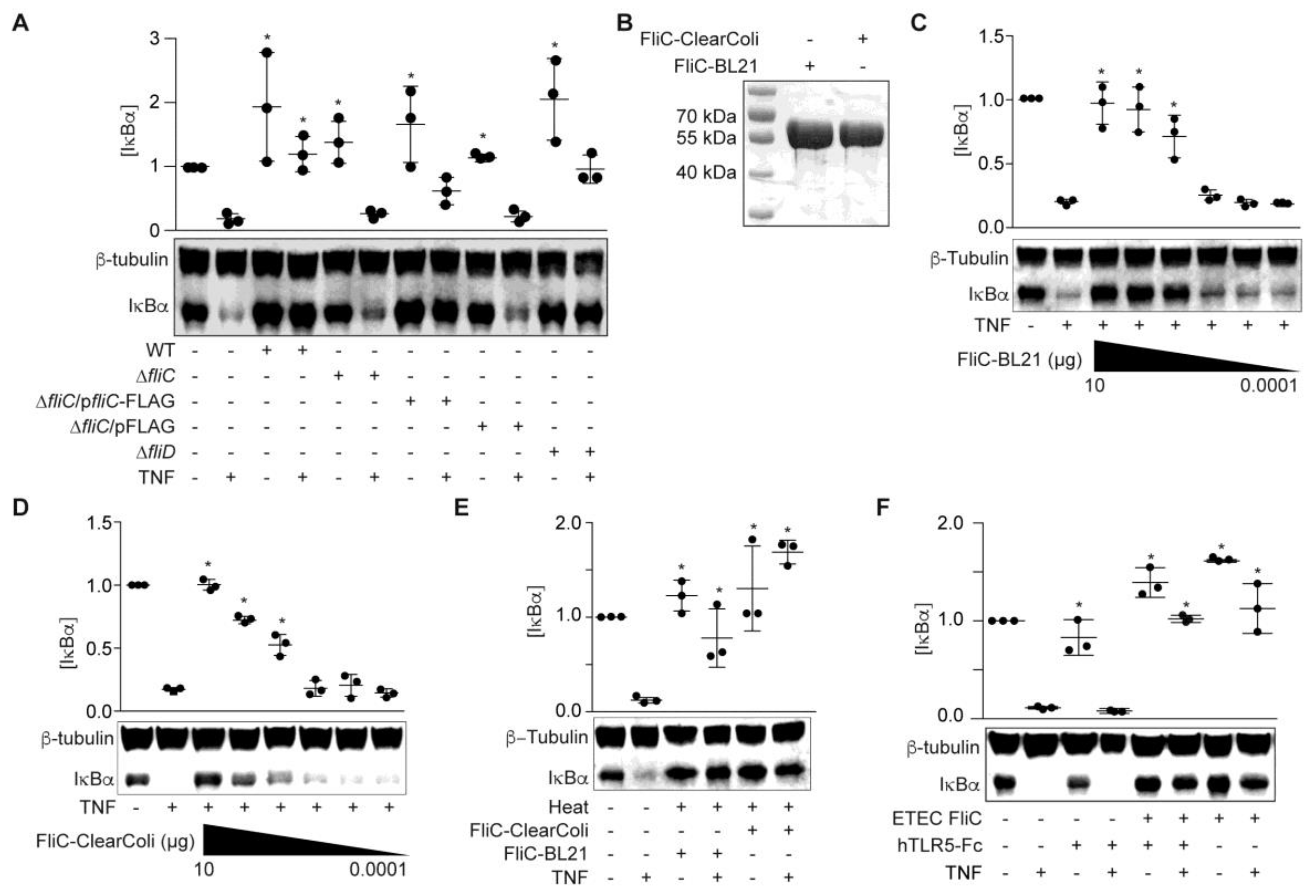 Pathogens 06 00018 g002