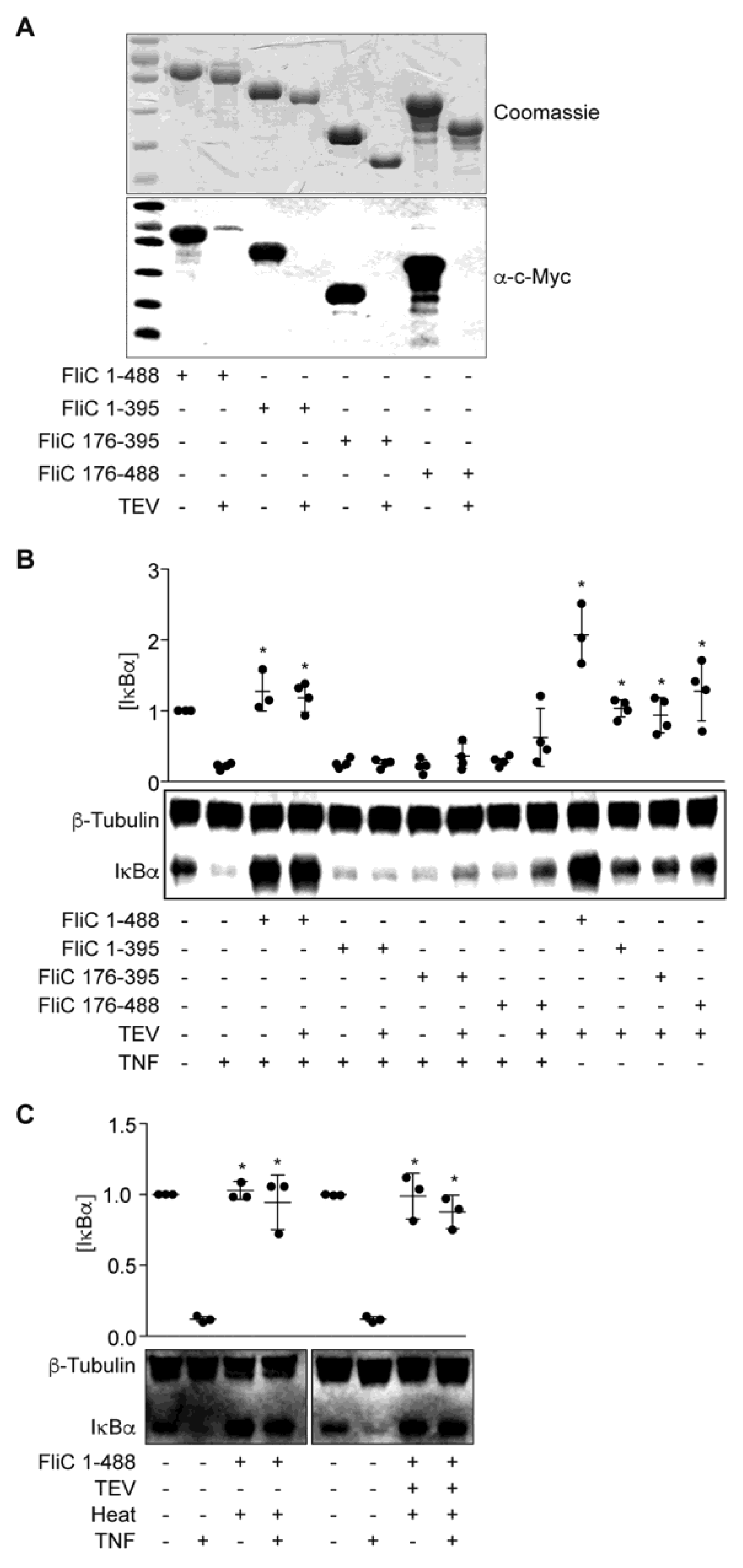 Pathogens 06 00018 g003