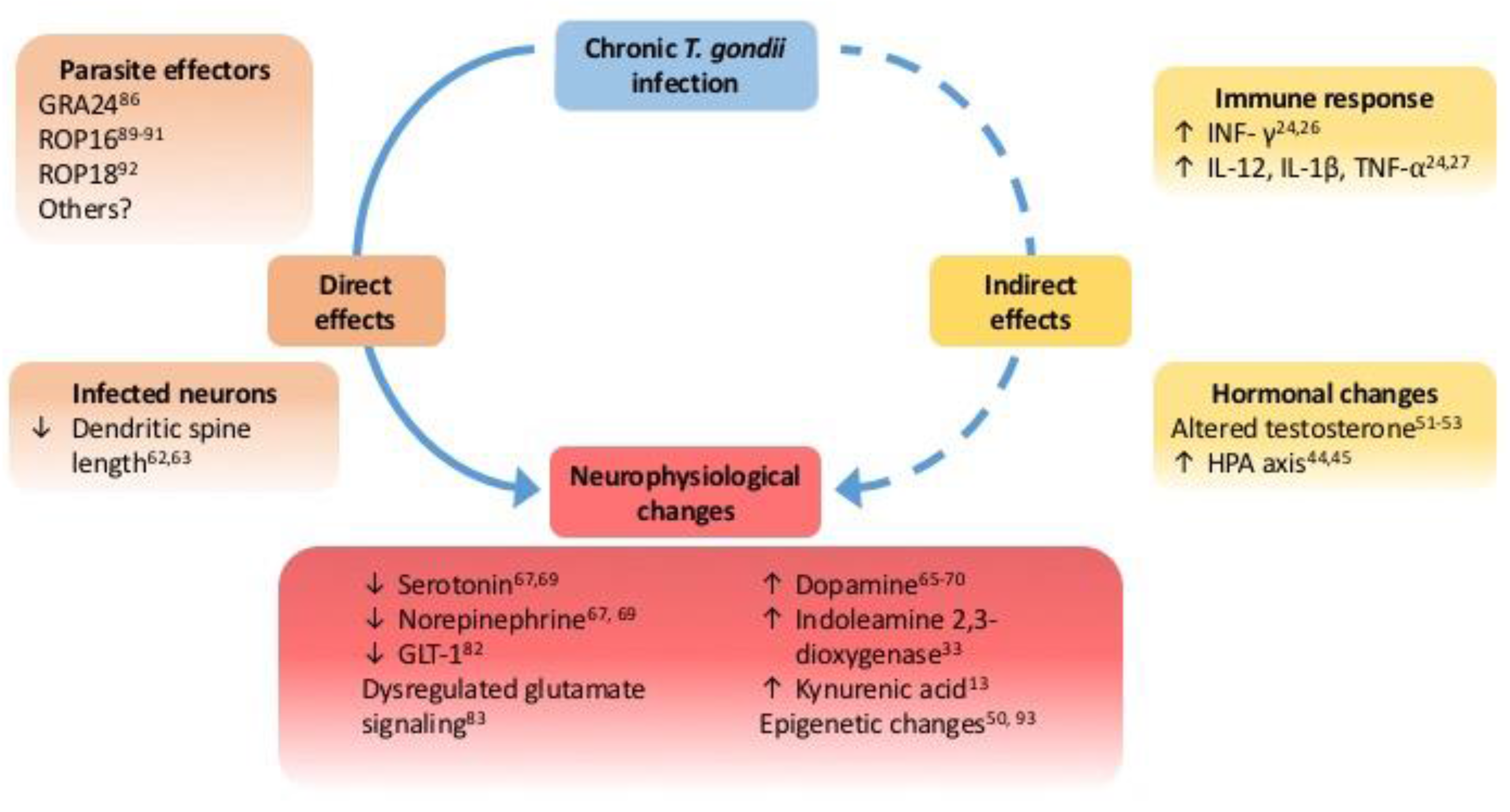 Pathogens | Free Full-Text | Neurophysiological Changes Induced by Chronic Toxoplasma ...