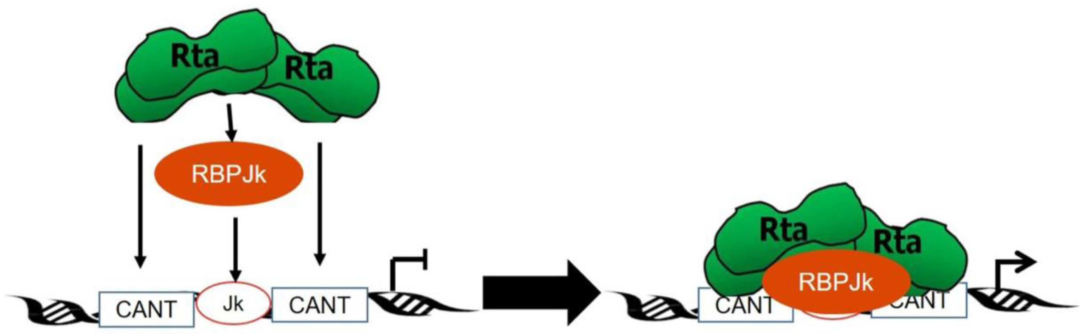 Pathogens 06 00034 g006