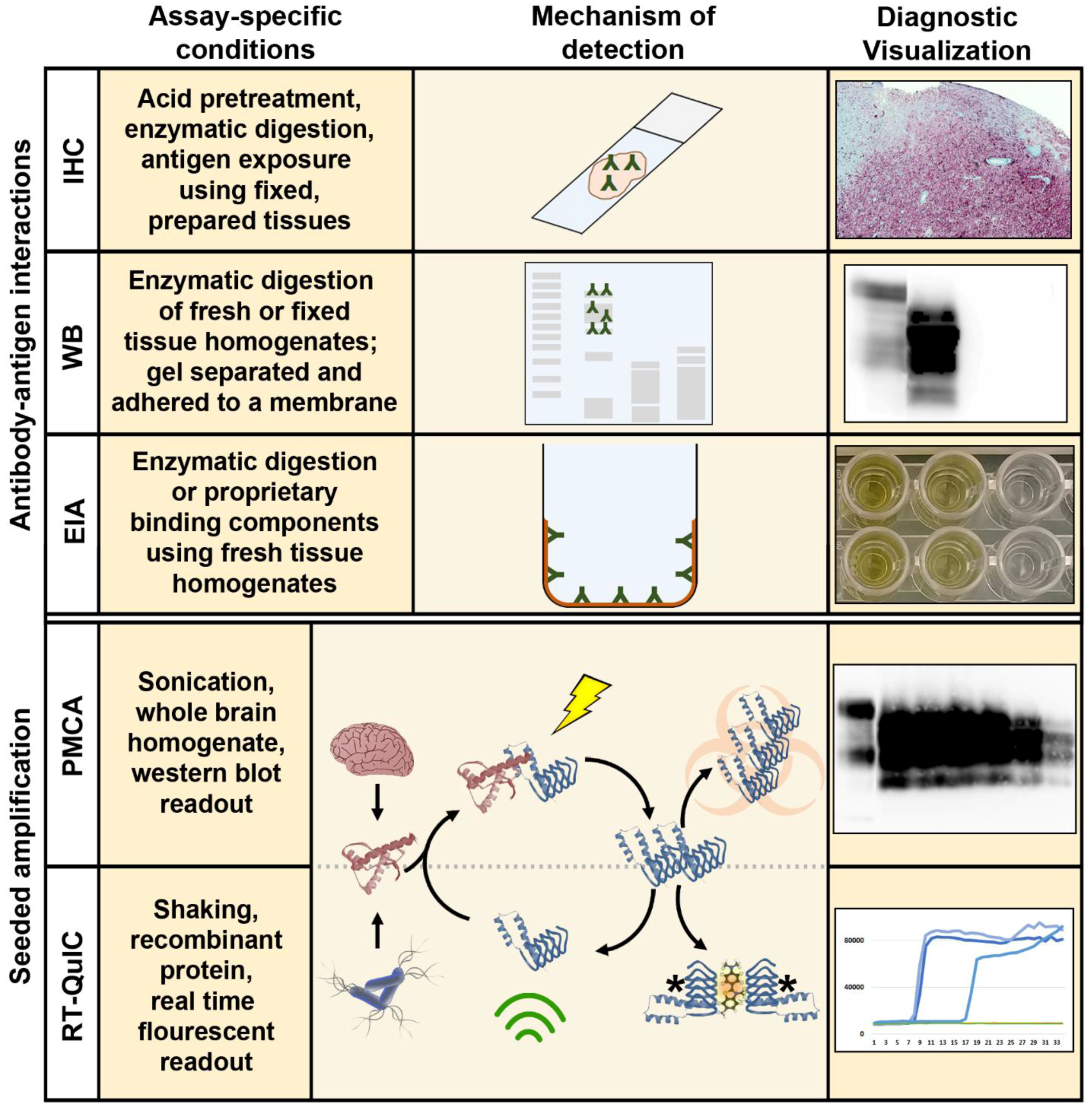 Pathogens 06 00035 g002