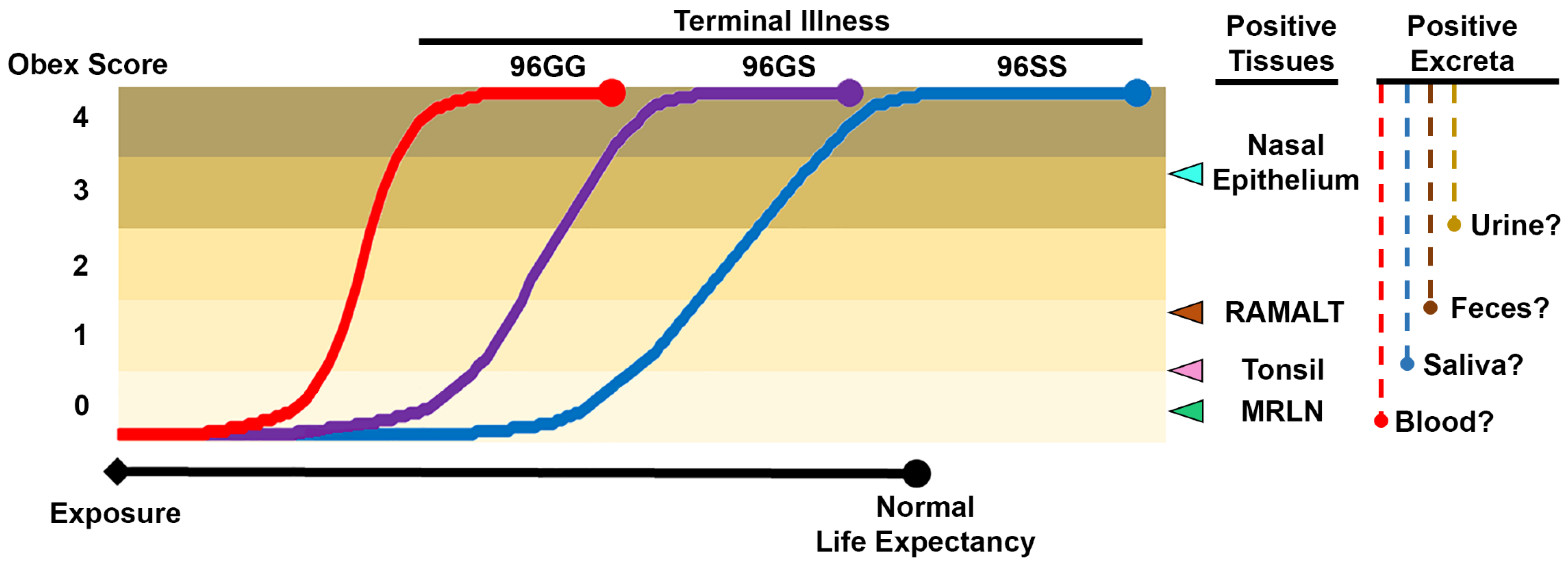 Pathogens 06 00035 g003
