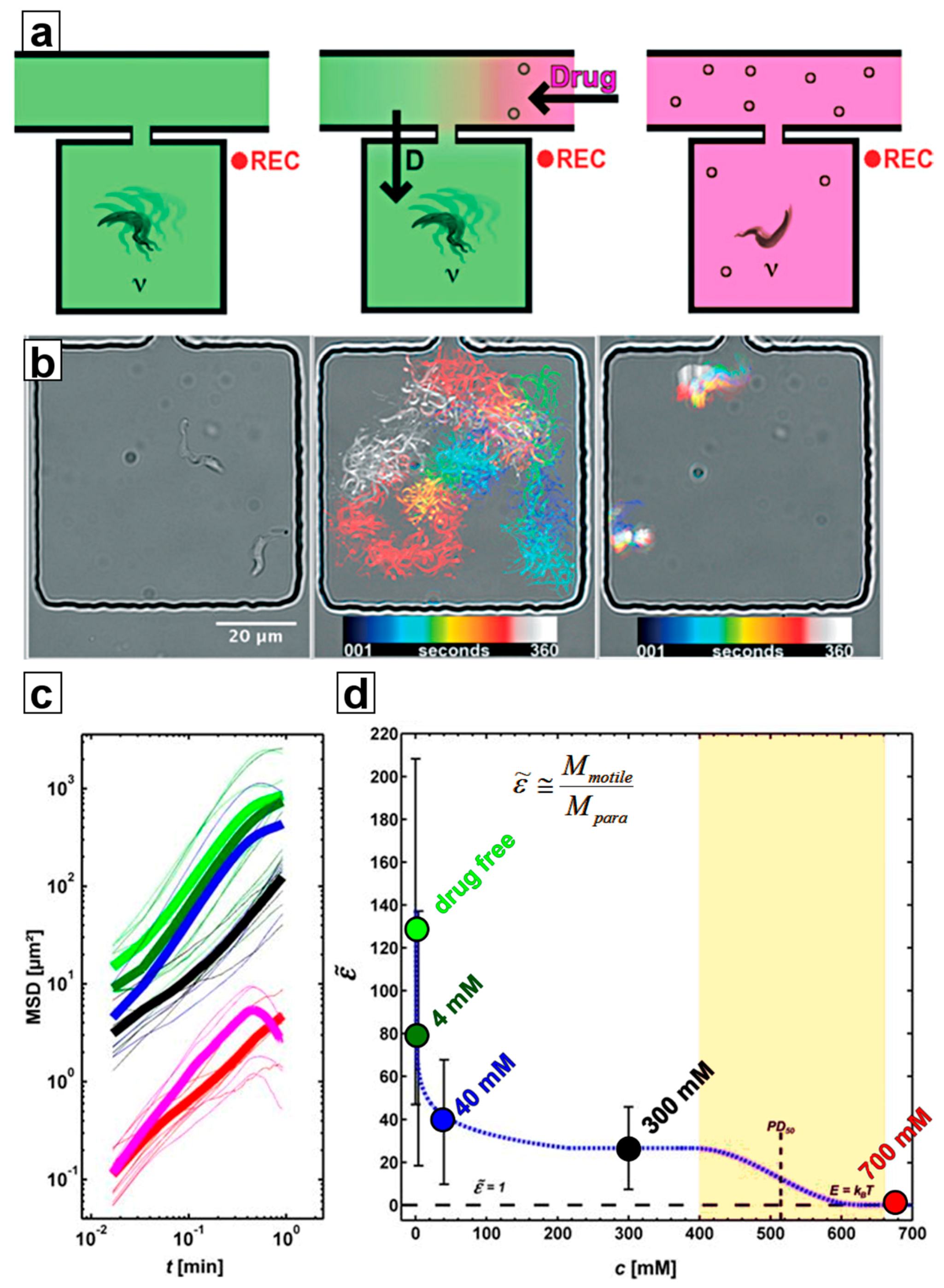 Pathogens 06 00047 g005 Pathogens 06 00047 g005