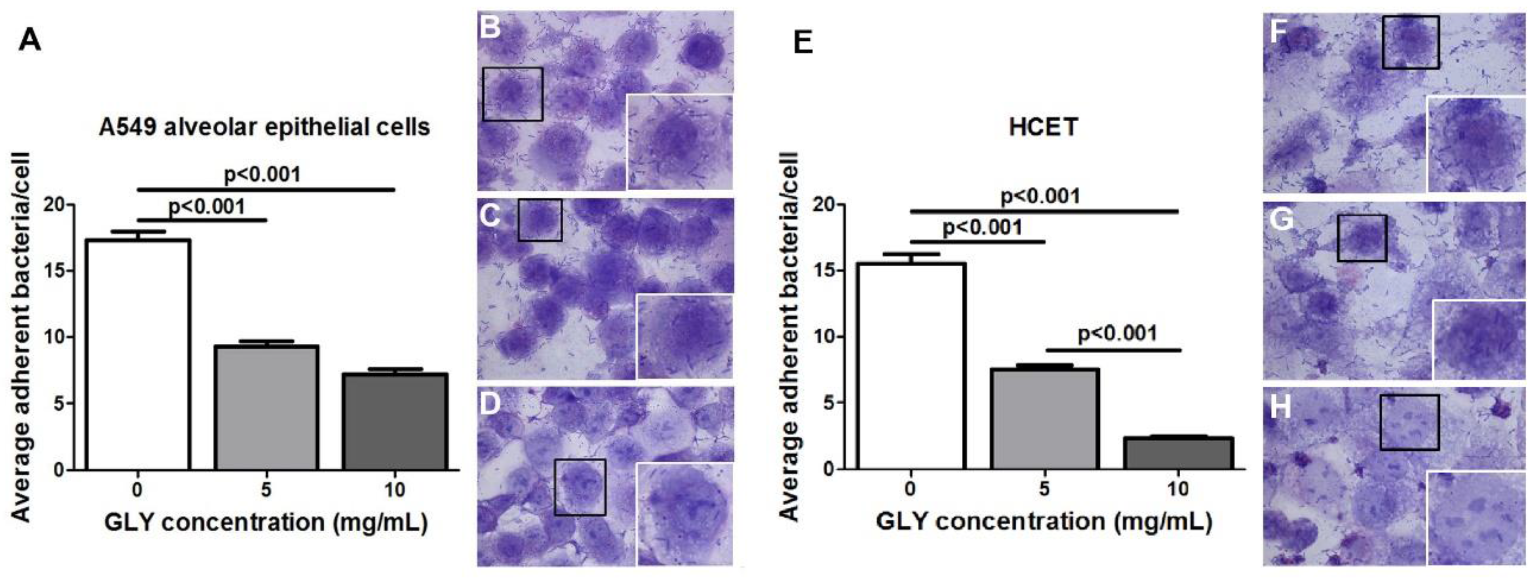 Pathogens 06 00052 g006 550