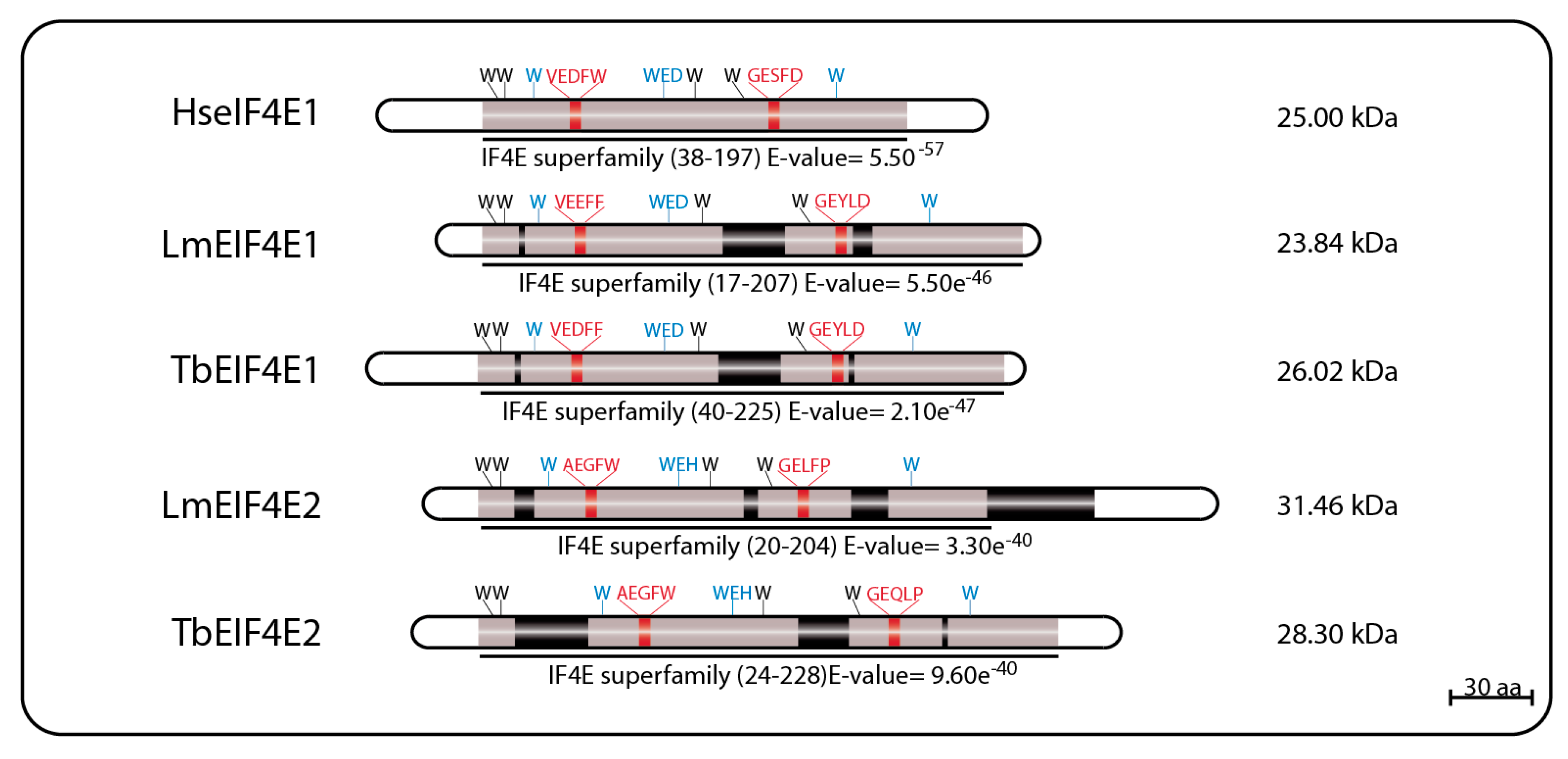 Pathogens 06 00055 g001