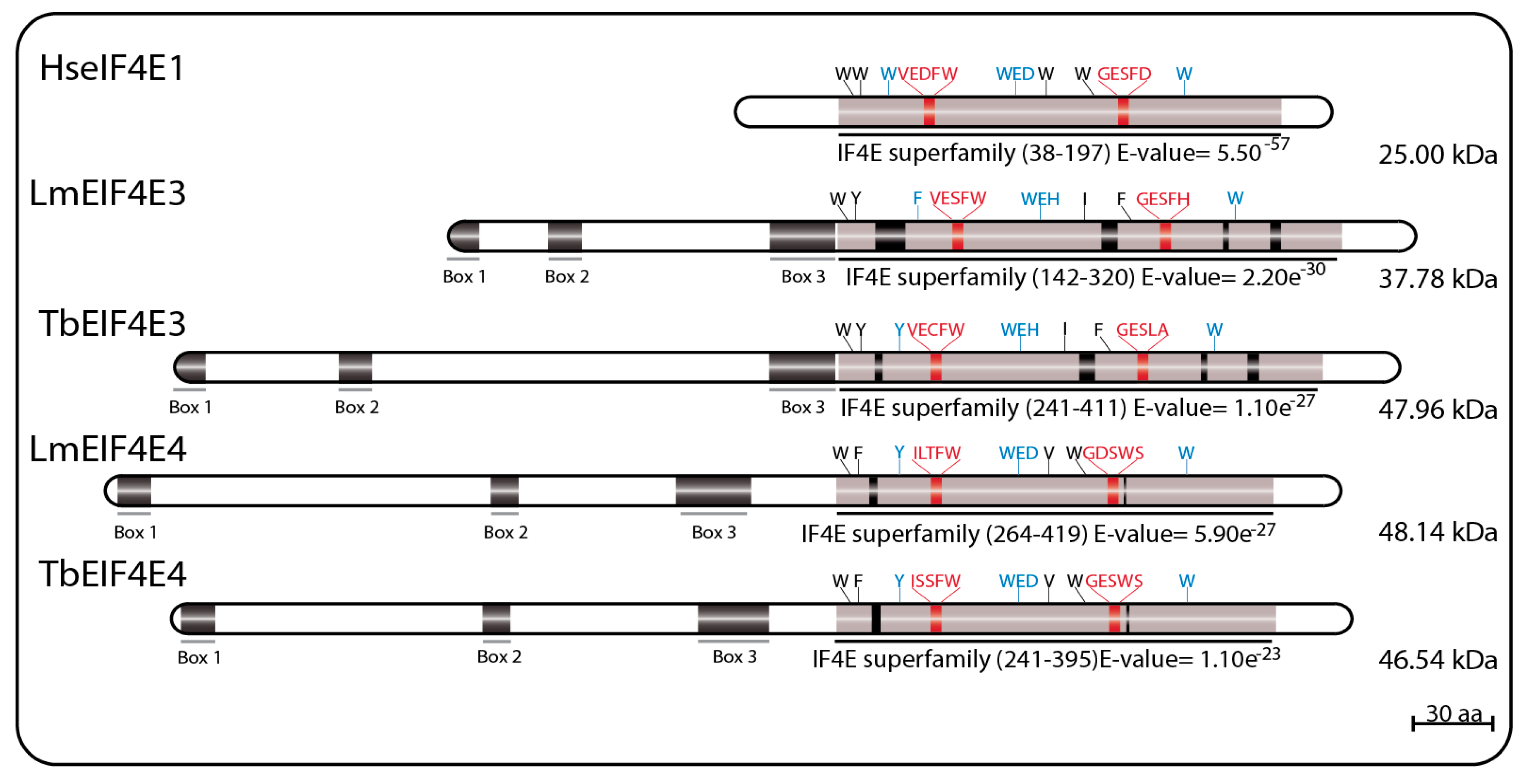 Pathogens 06 00055 g003