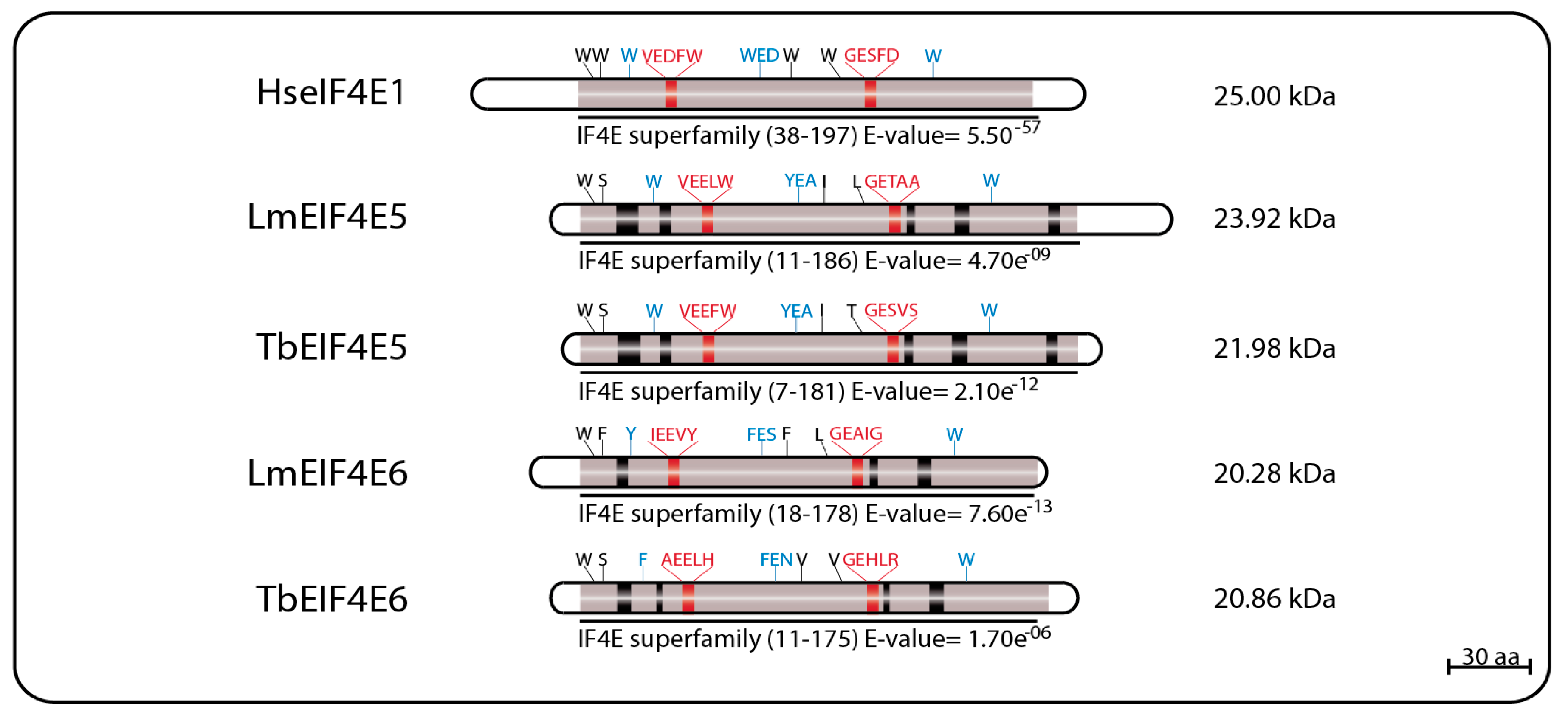 Pathogens 06 00055 g005