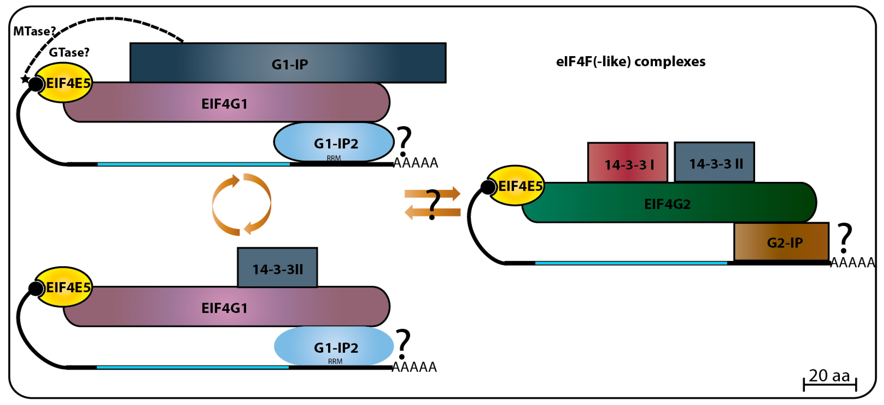 Pathogens 06 00055 g006