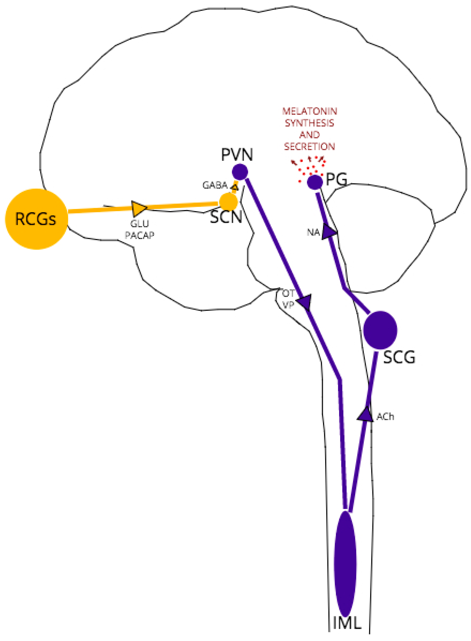 Pathogens 06 00058 g001 Pathogens 06 00058 g001