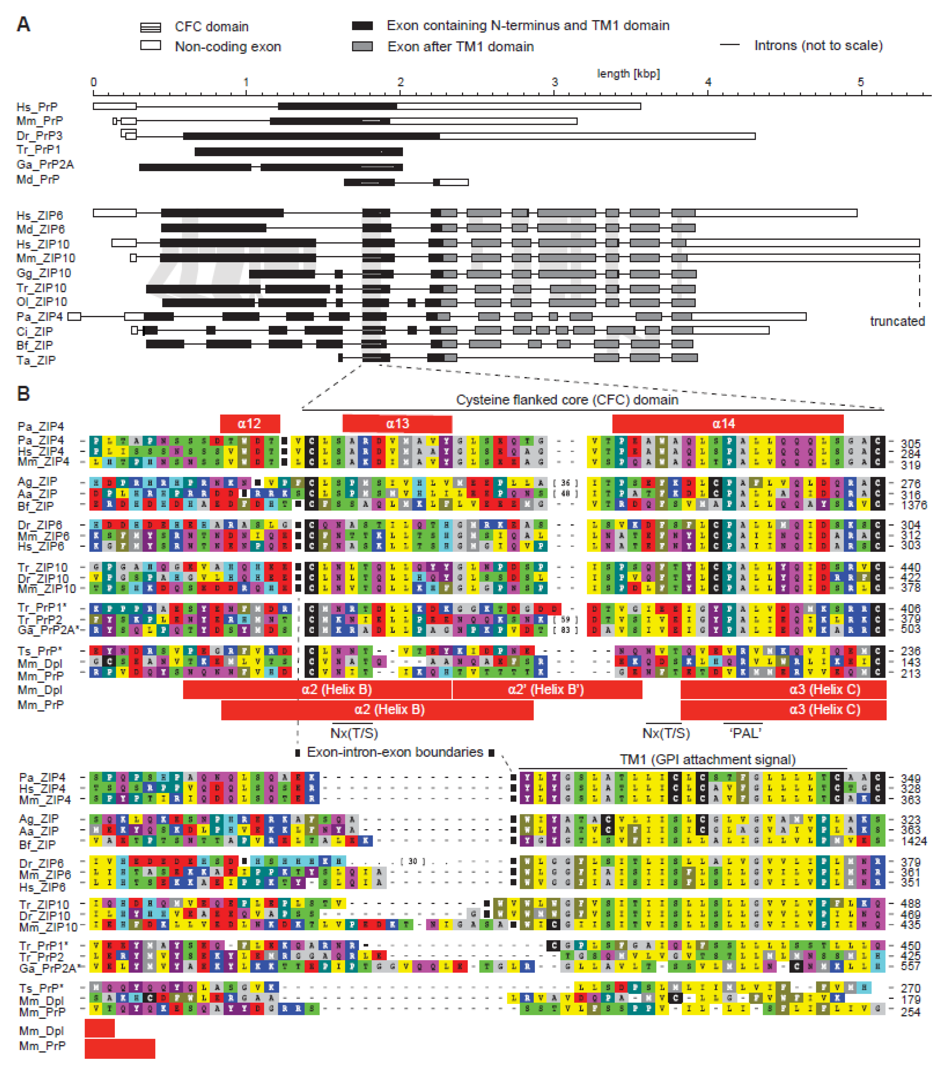 Pathogens 07 00004 g002