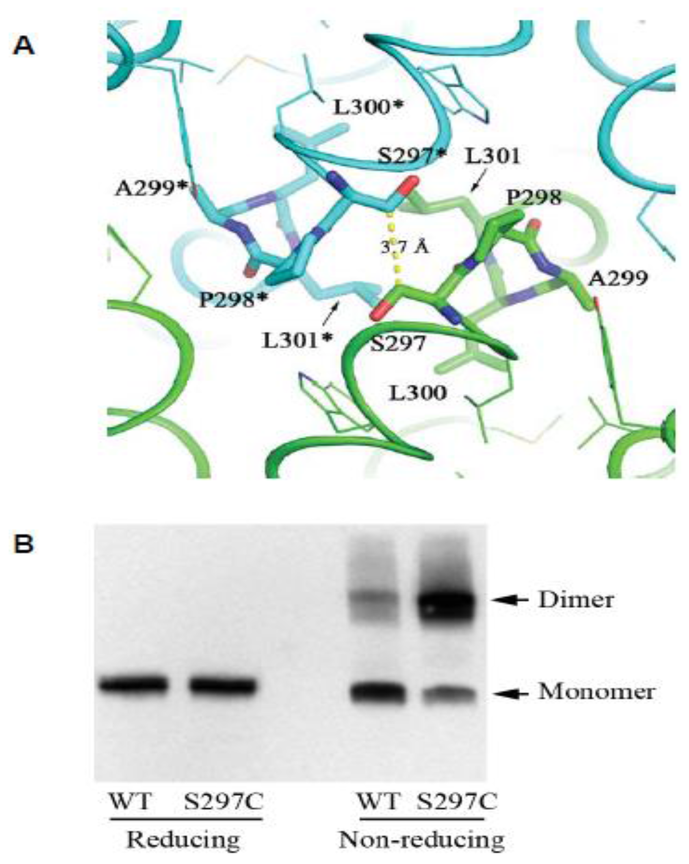 Pathogens 07 00004 g003