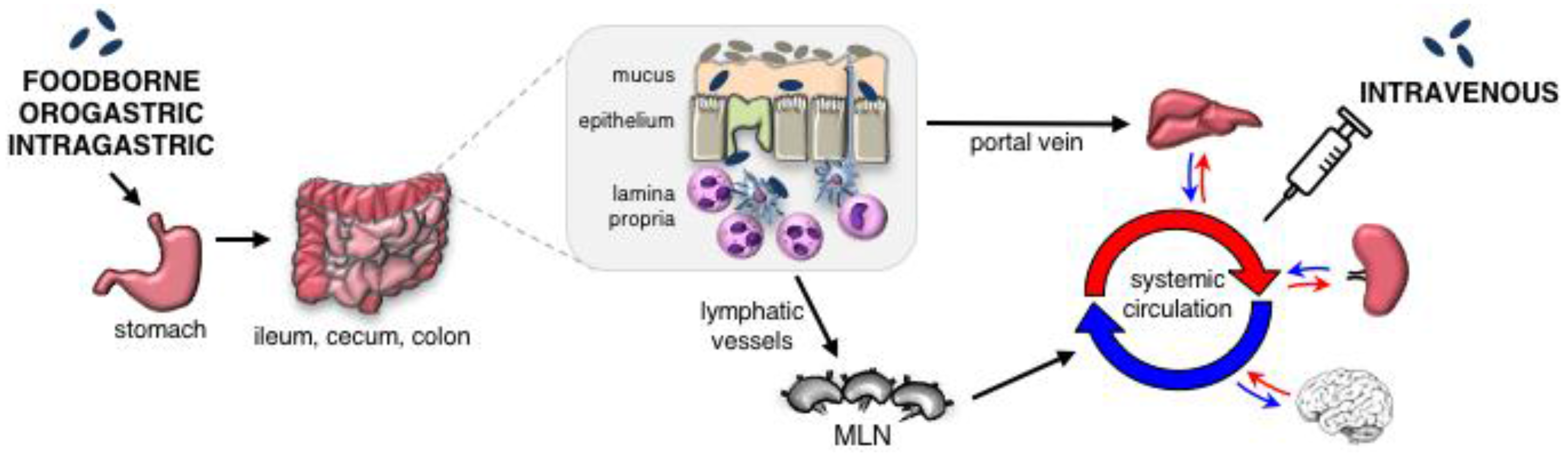 Pathogens 07 00013 g001 Pathogens 07 00013 g001