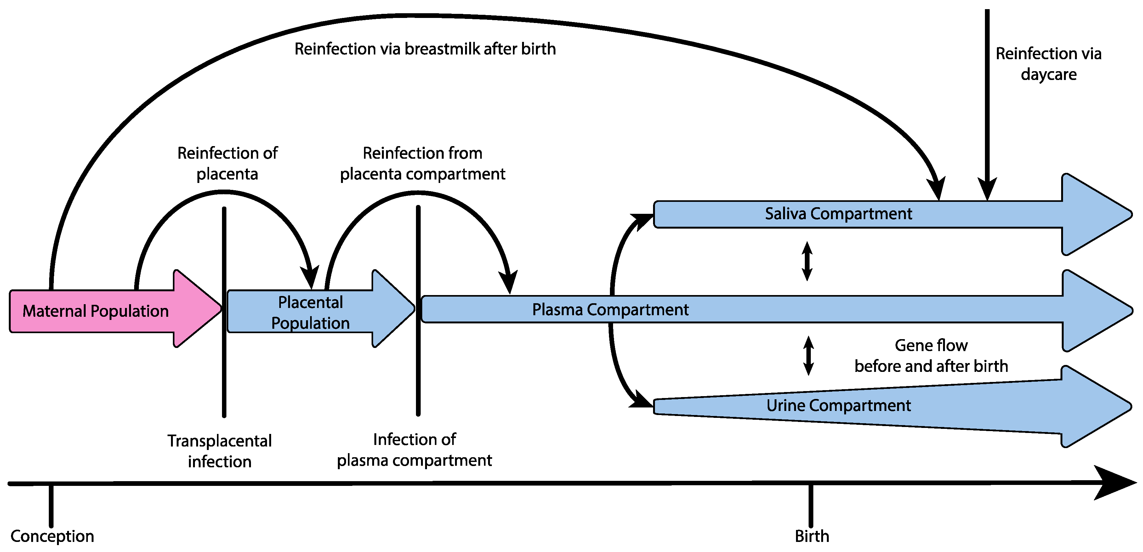 Pathogens 07 00016 g001