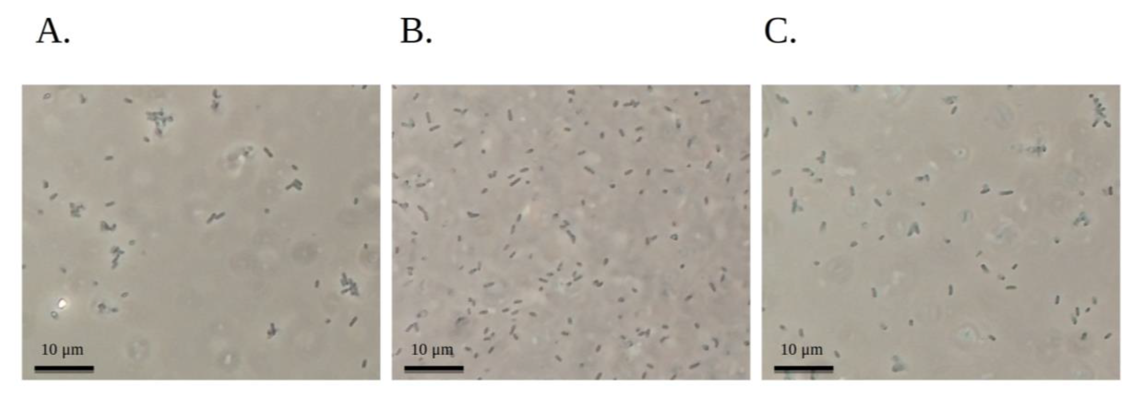Pathogens 07 00018 g003 550
