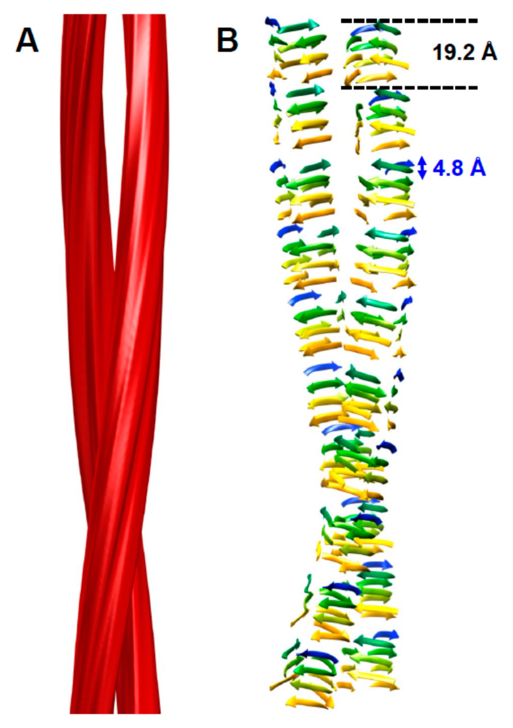 Pathogens Free Full Text The Structure Of Prpsc Prions Html