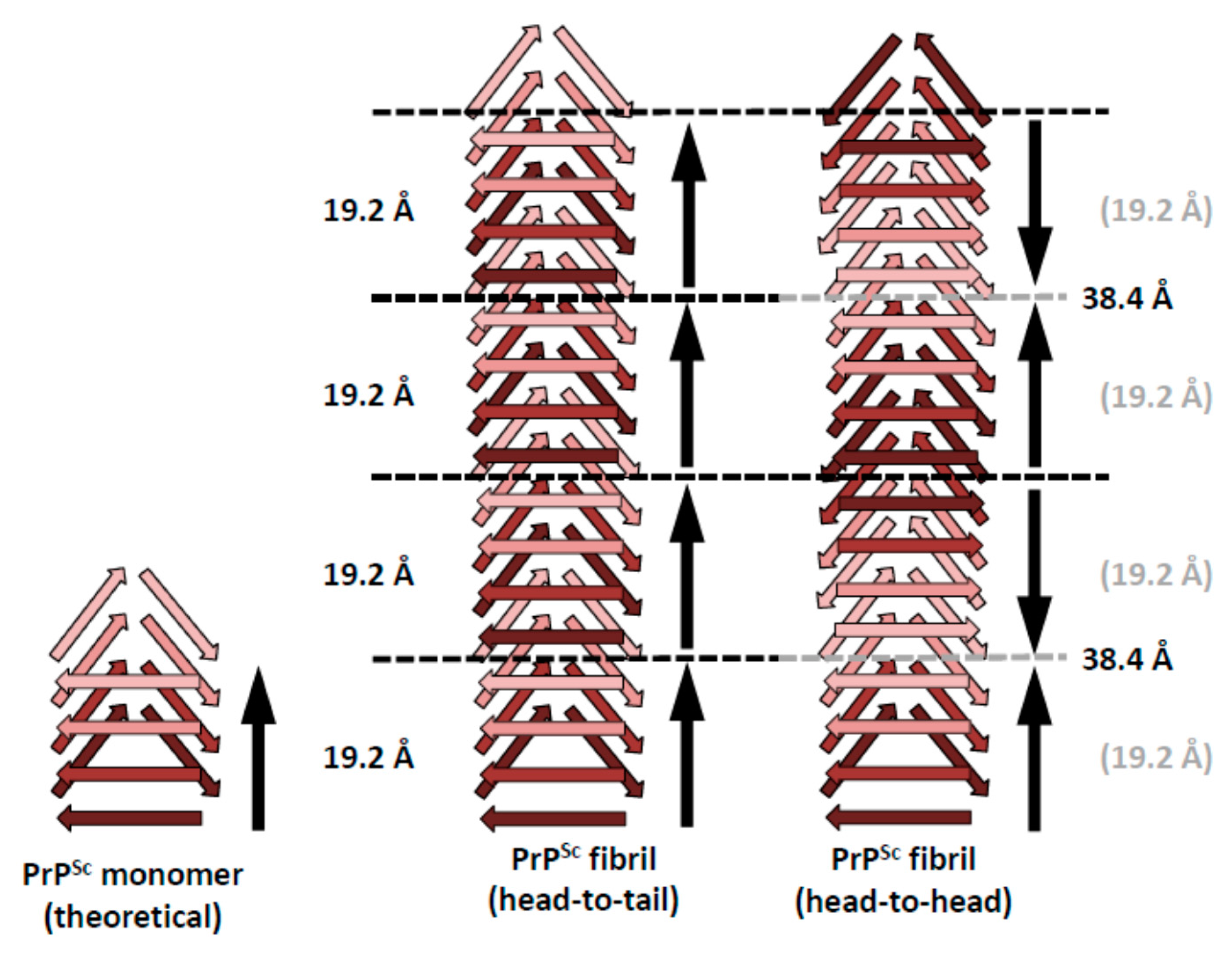 Pathogens 07 00020 g002