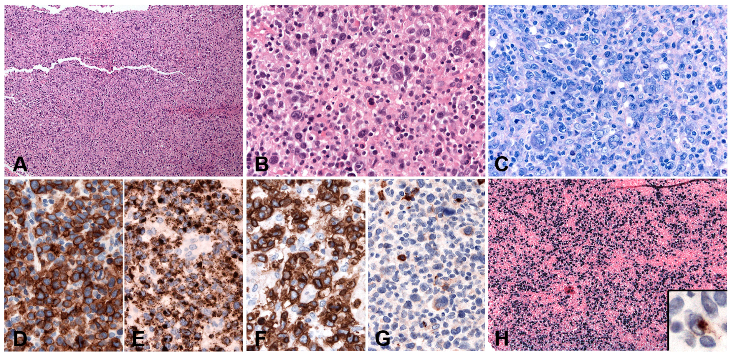 Pathogens 07 00028 g013 Pathogens 07 00028 g013