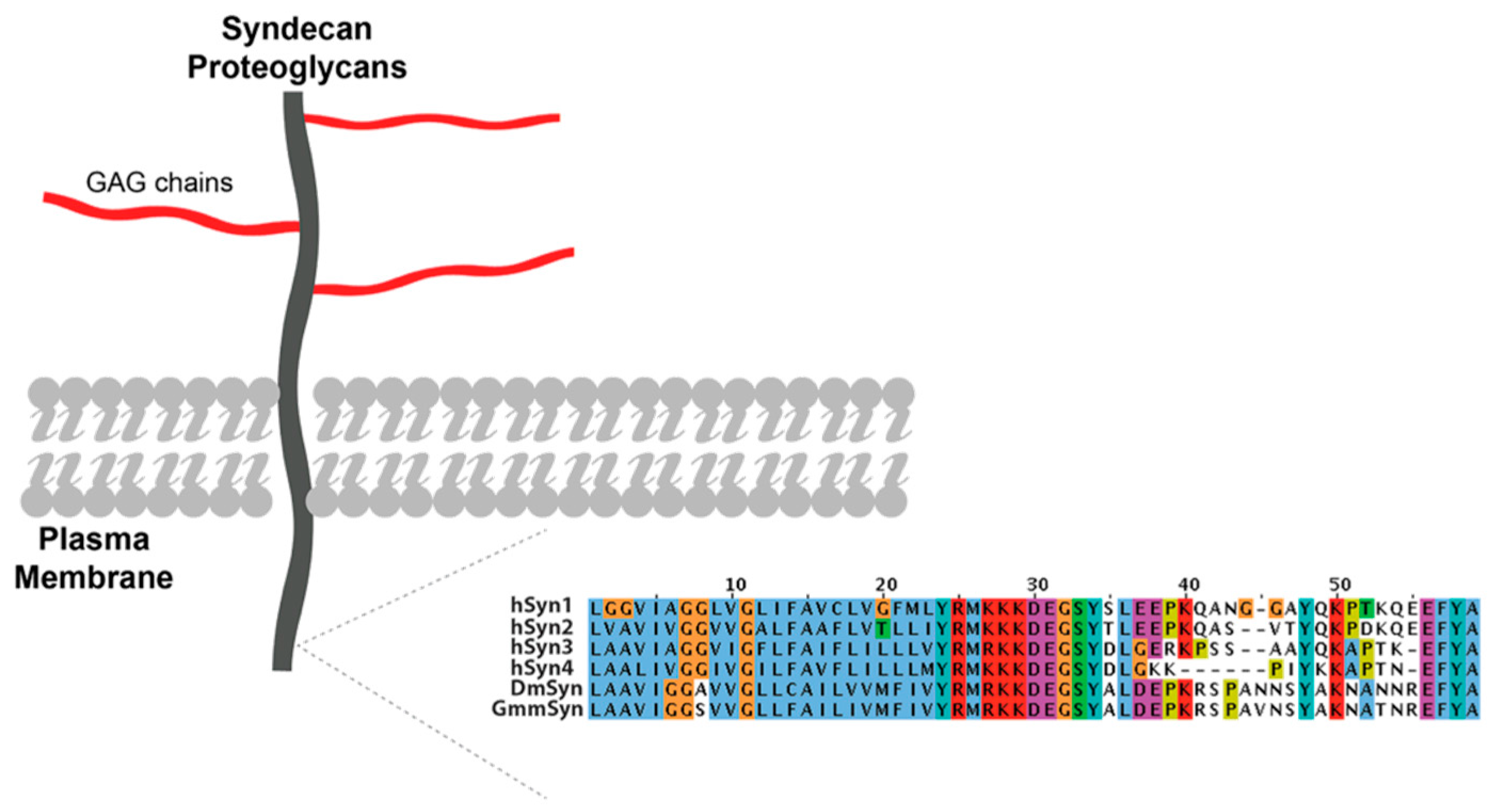 Pathogens 07 00032 g002