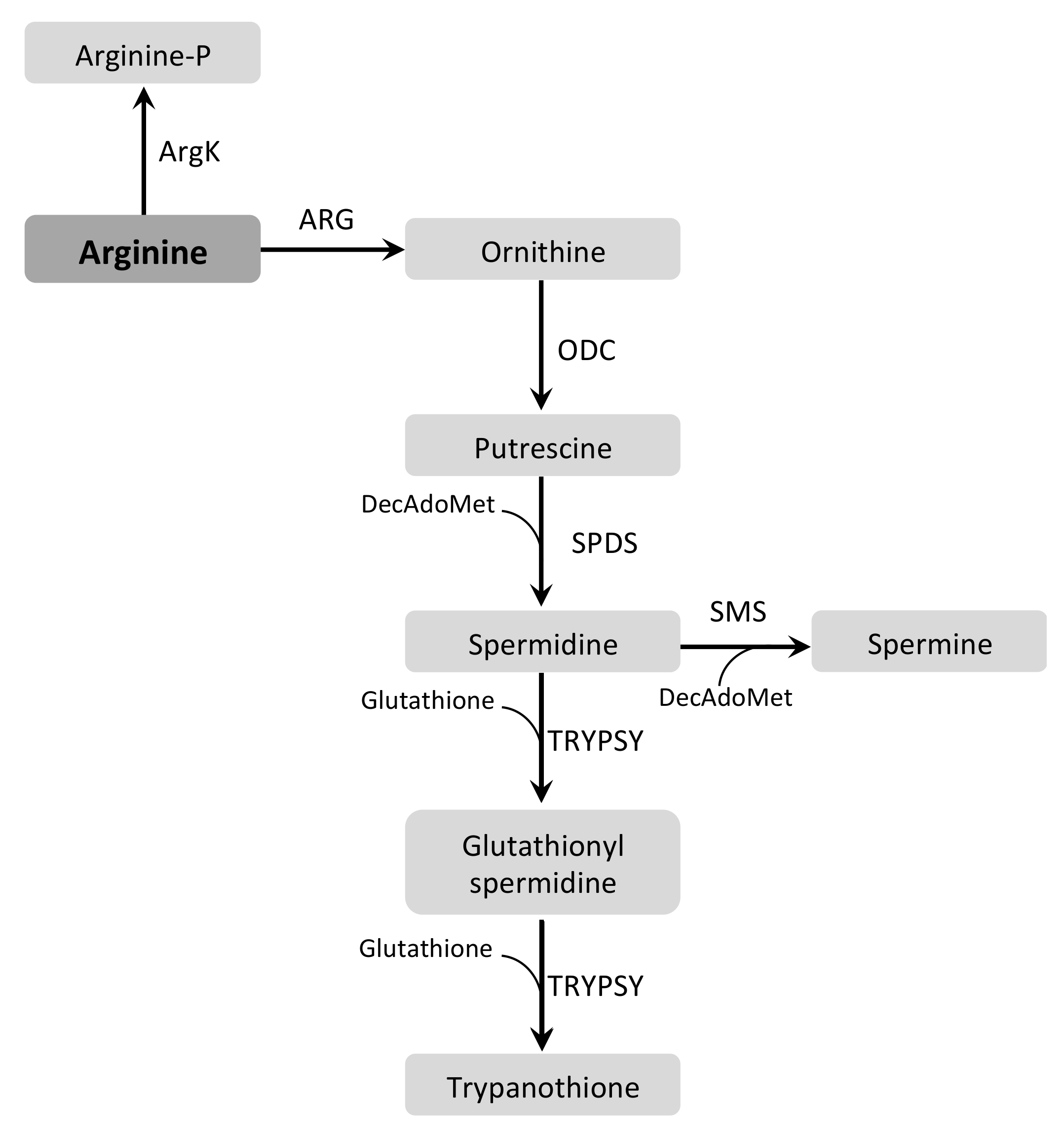 Pathogens 07 00036 g003 Pathogens 07 00036 g003