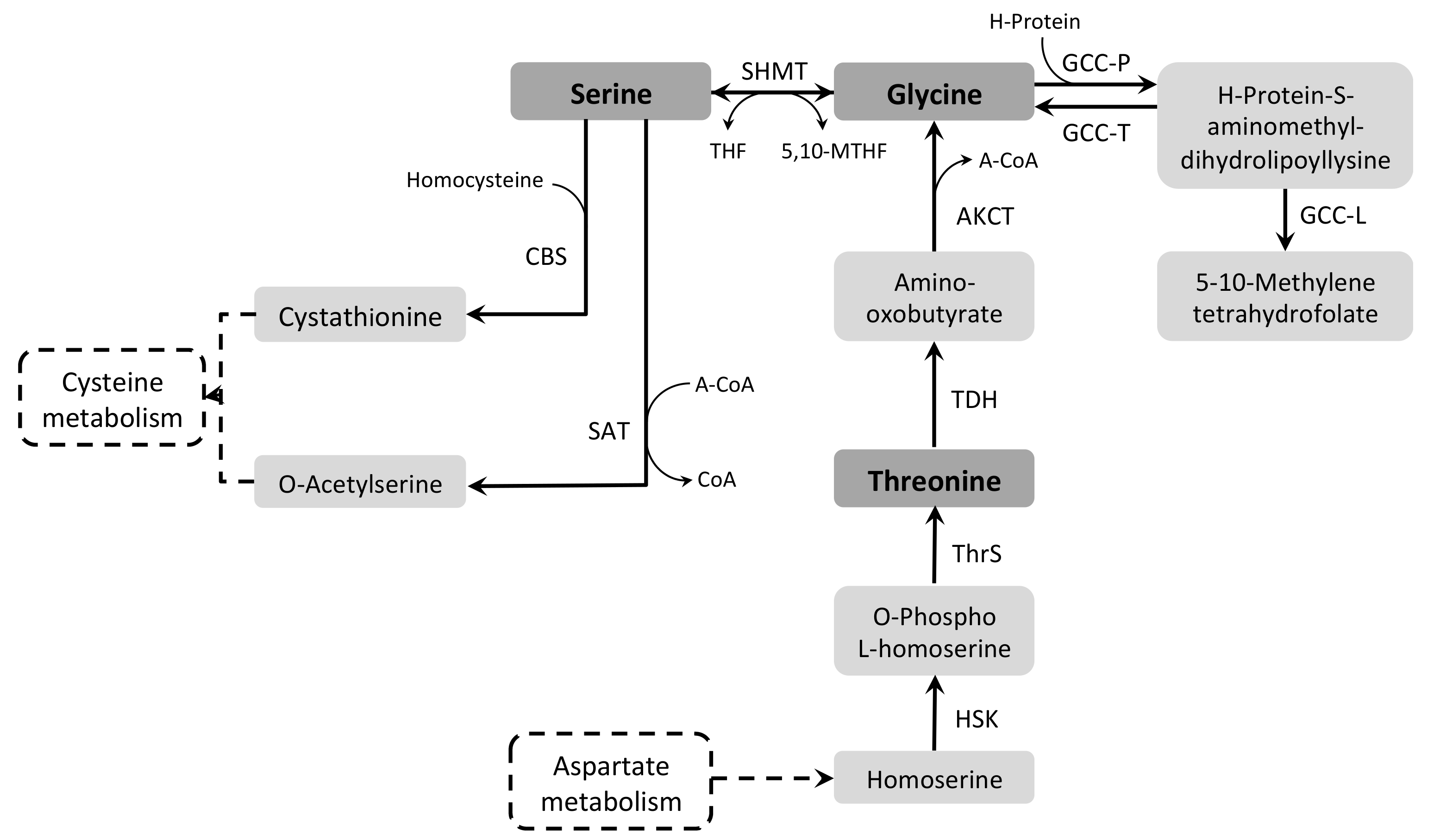 Pathogens 07 00036 g008 Pathogens 07 00036 g008
