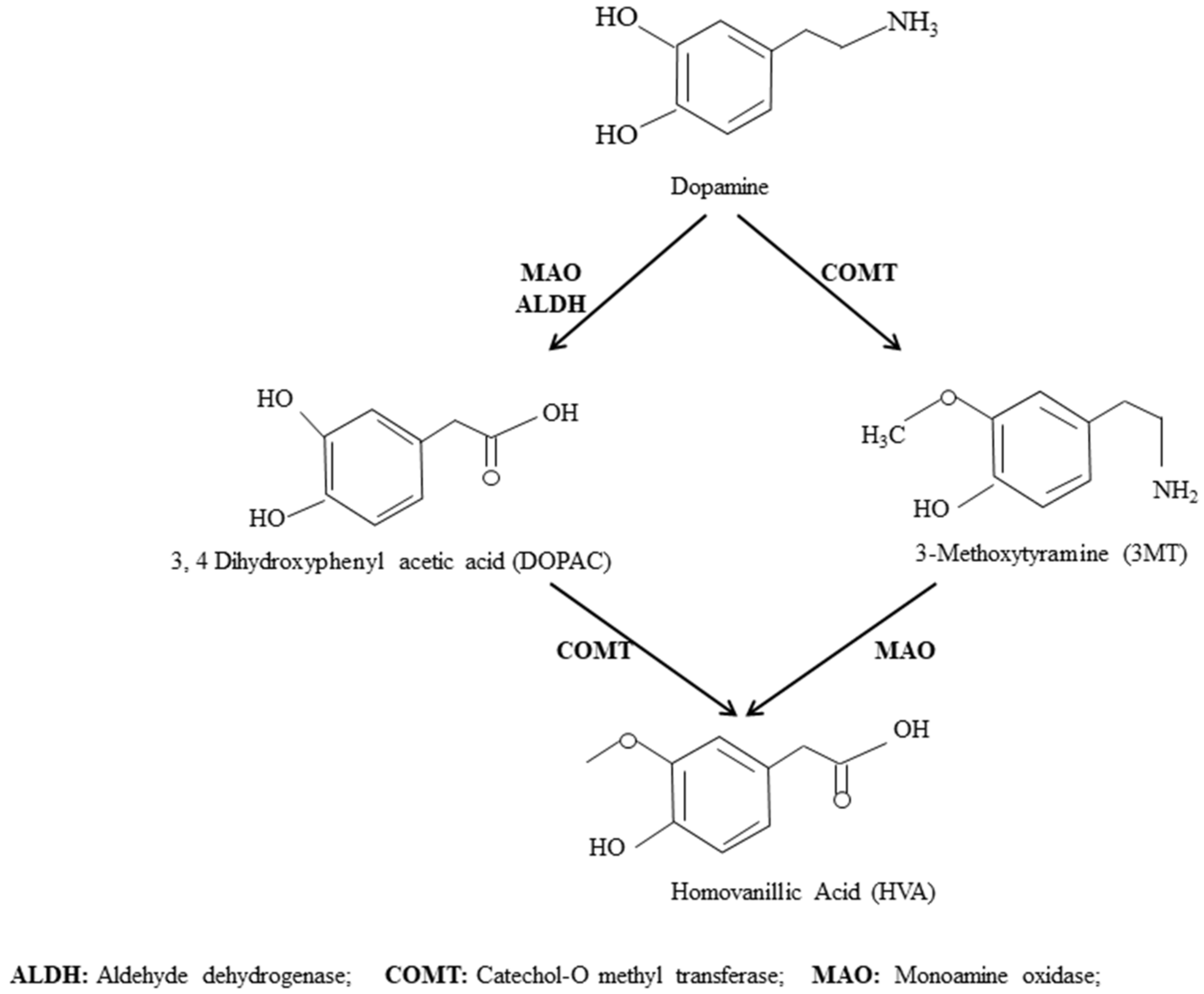 Pathogens 07 00039 g002