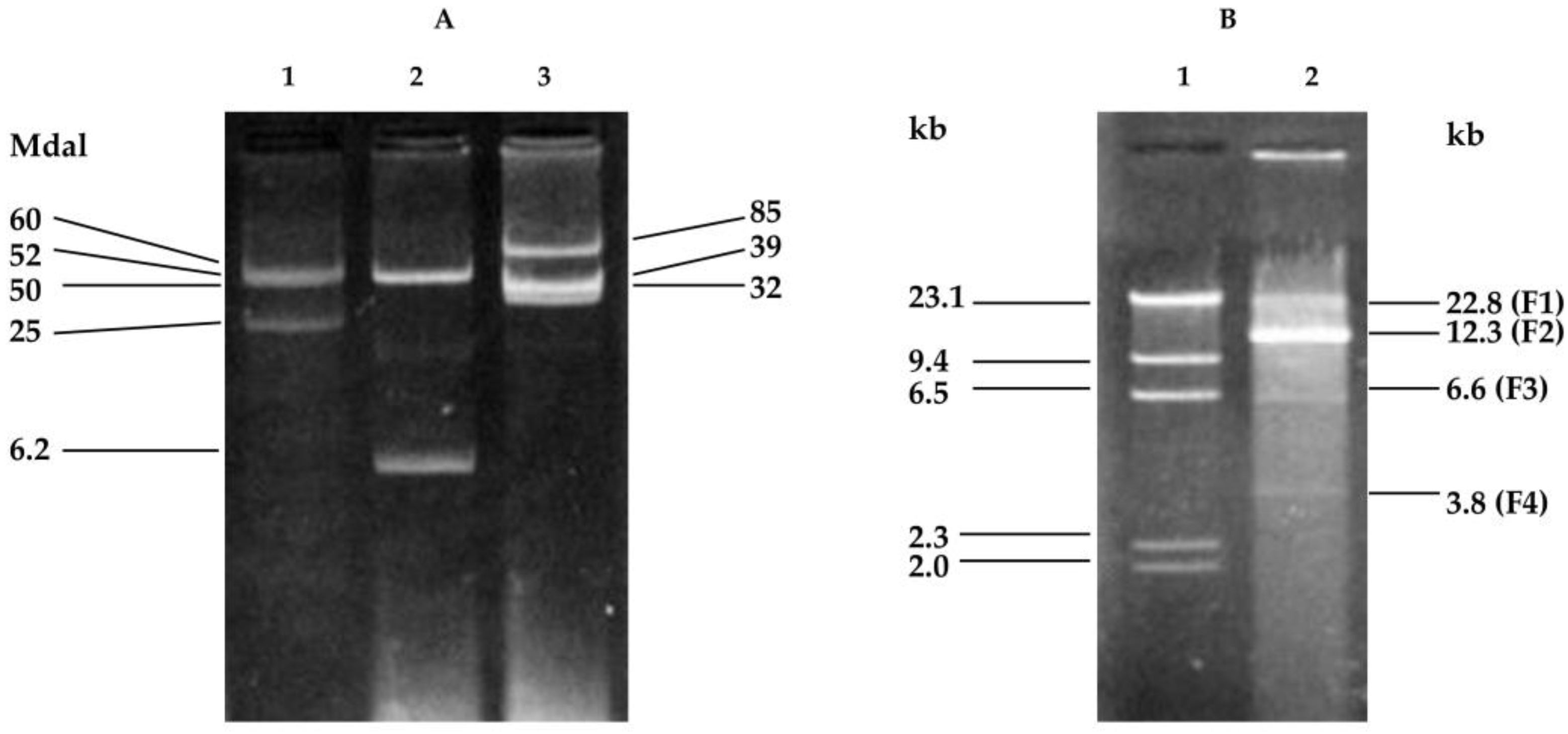 Pathogens 07 00041 g001 Pathogens 07 00041 g001